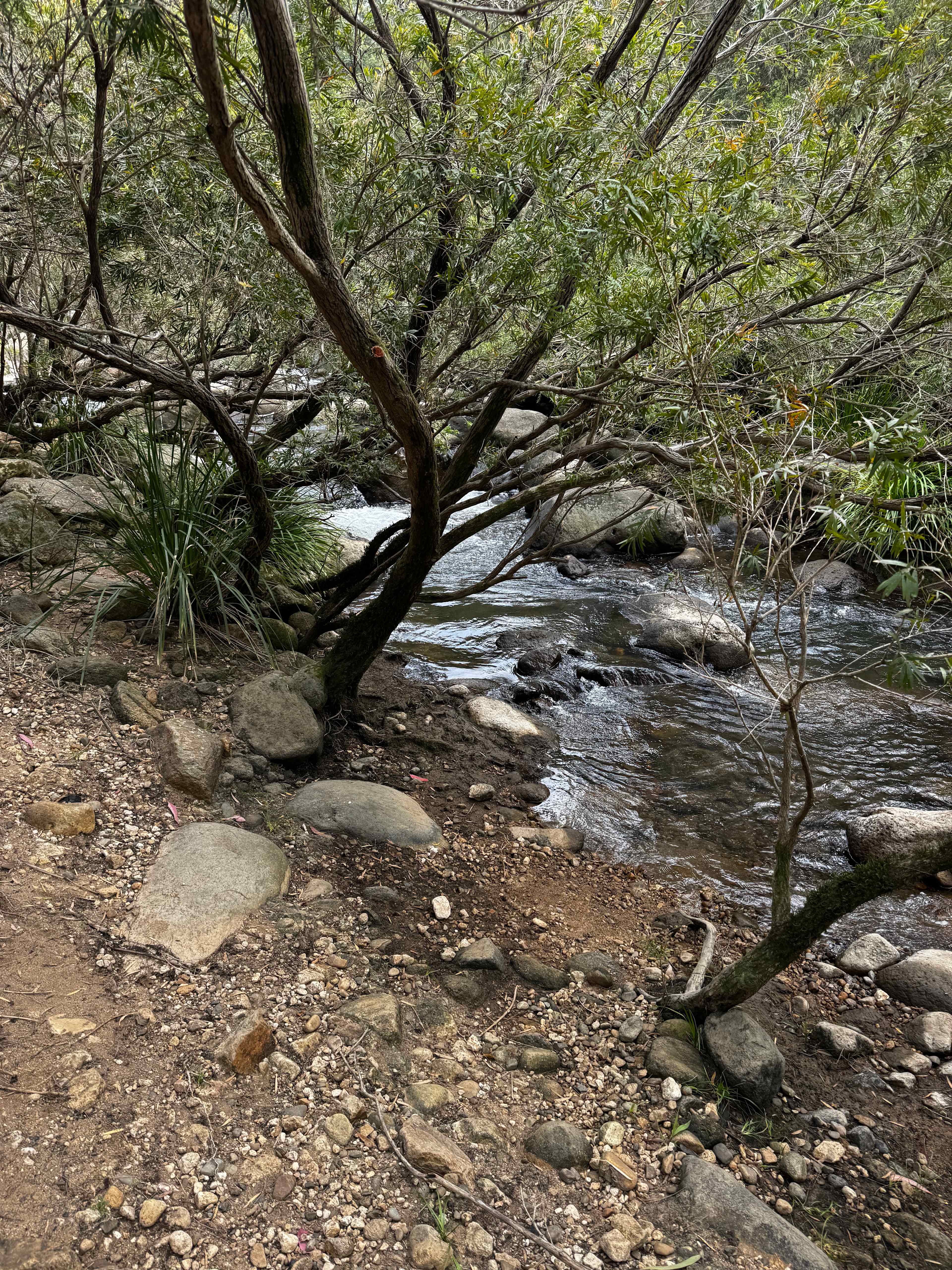 Barney View Bush Camping