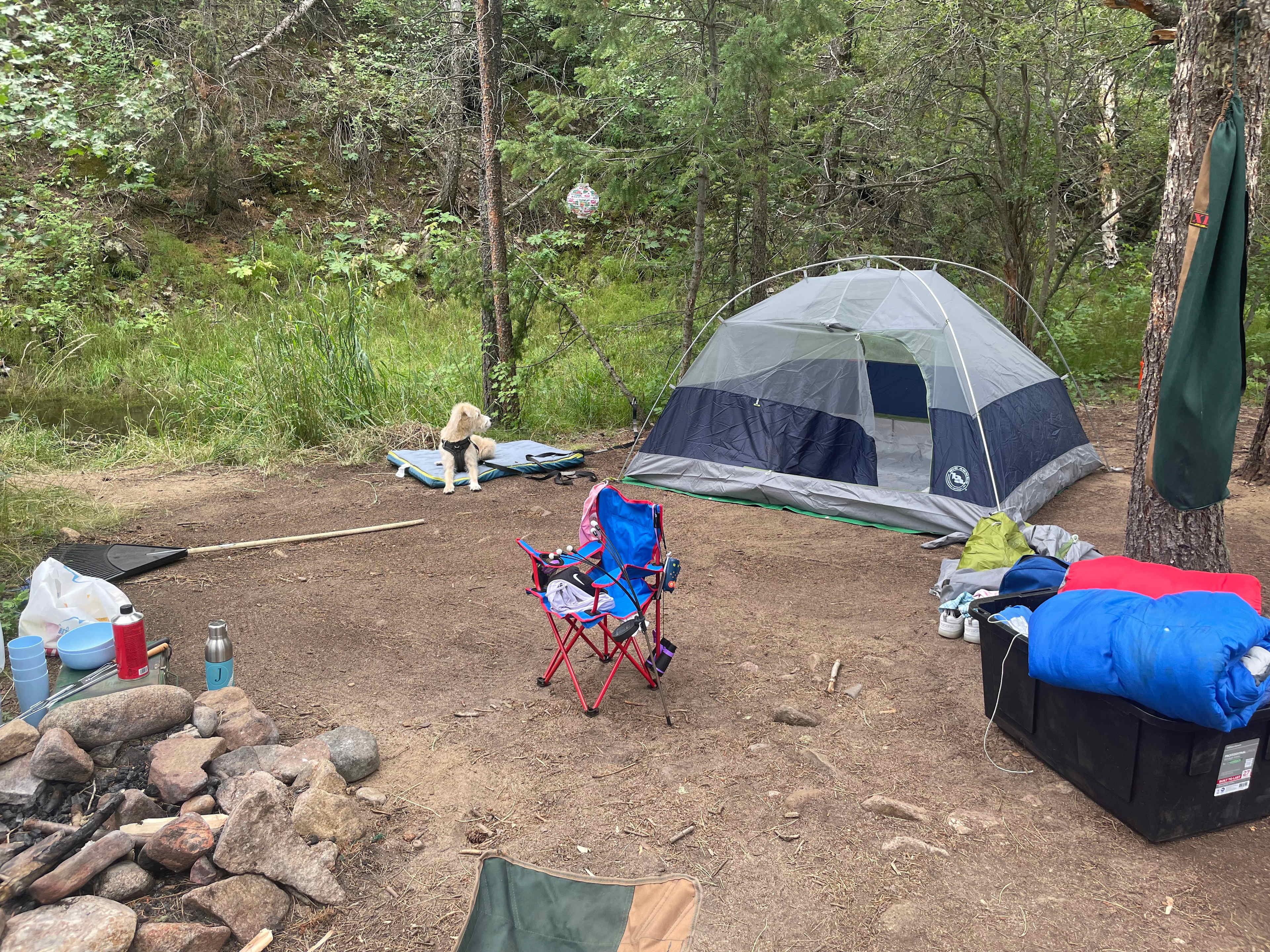 Cozy site with plenty of space for our 3+ tent 