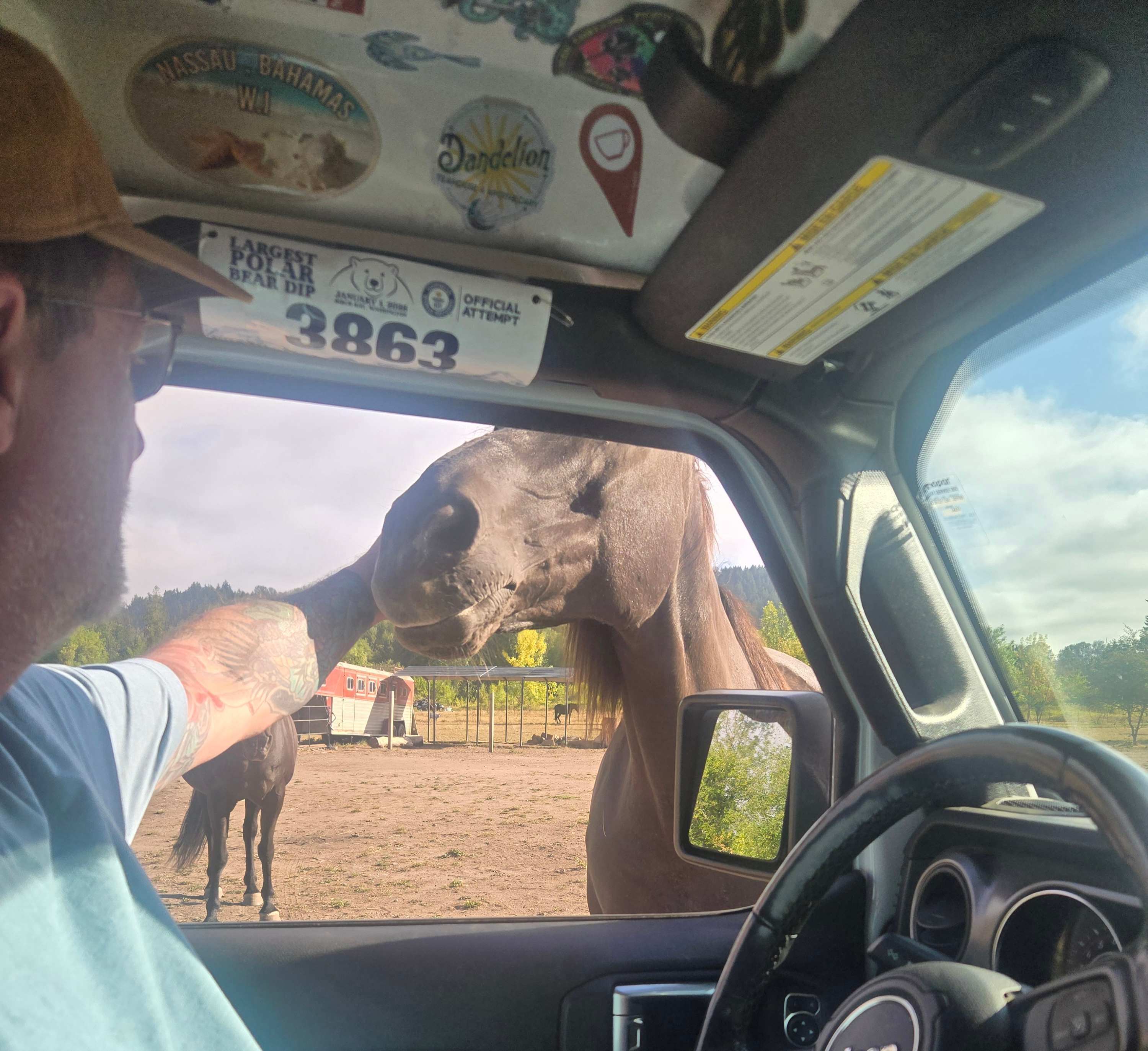 Hoping we had more carrots in the car