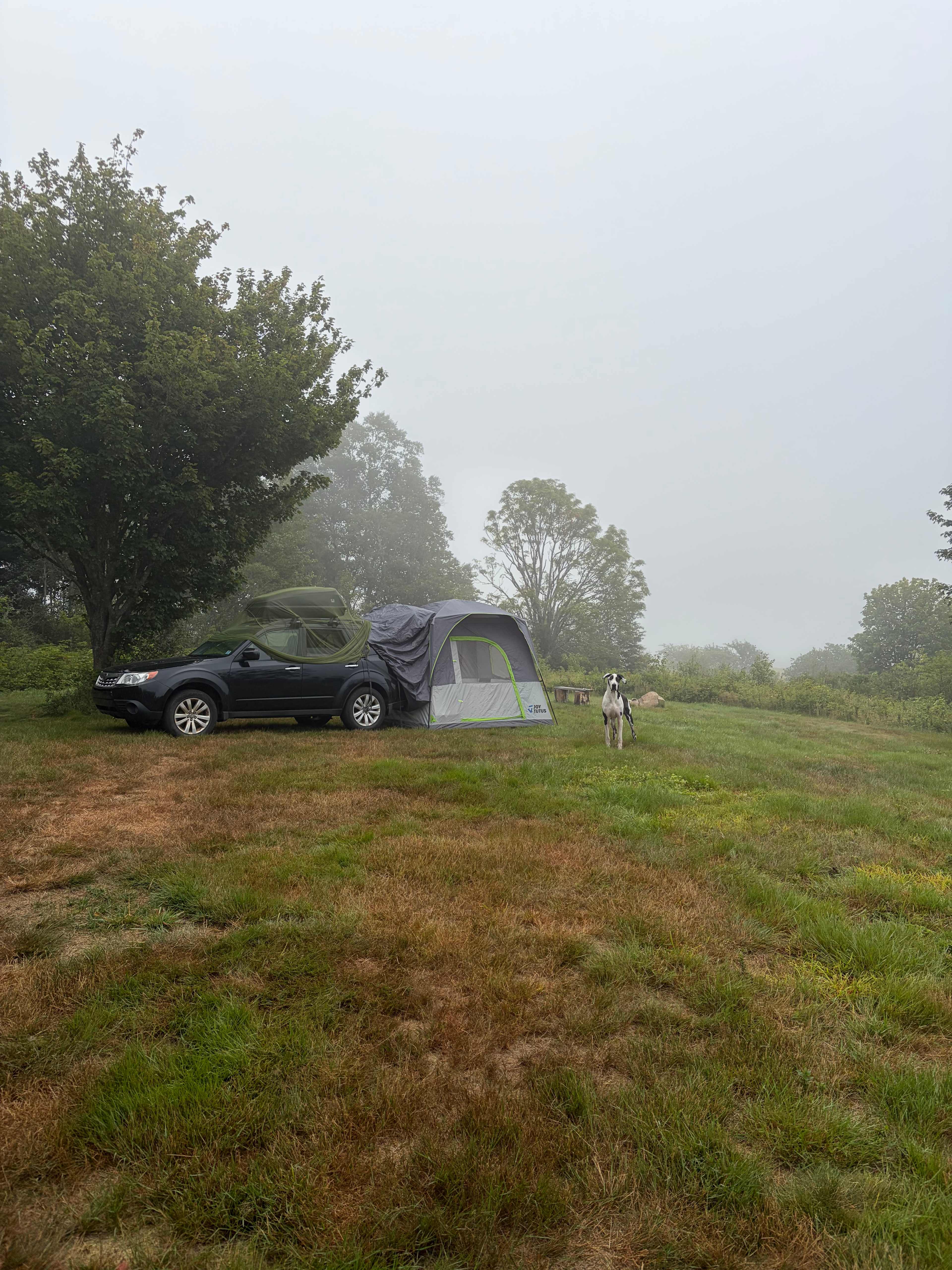 Fraserville Off-Grid Camping