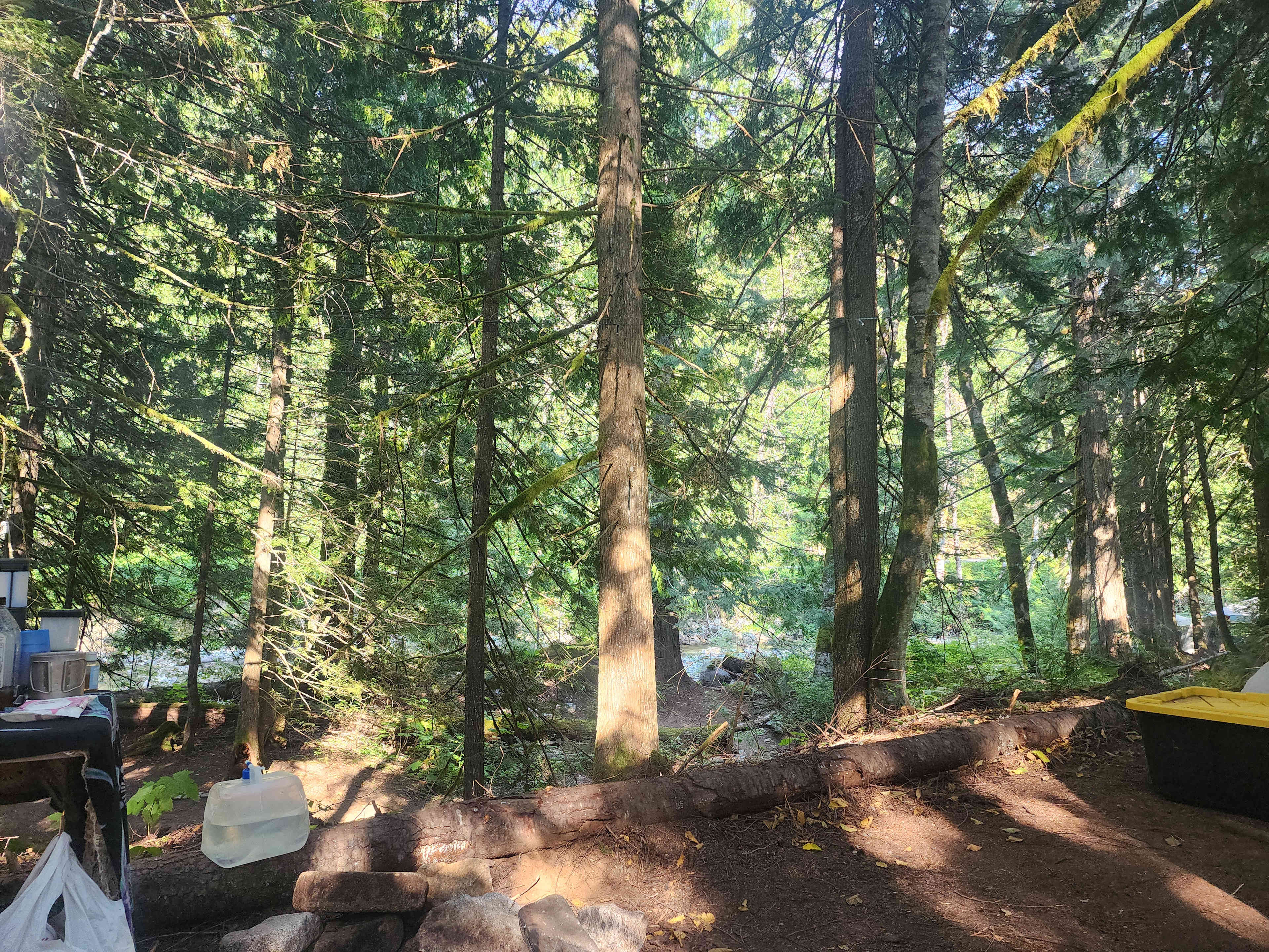 Ascent Basecamp