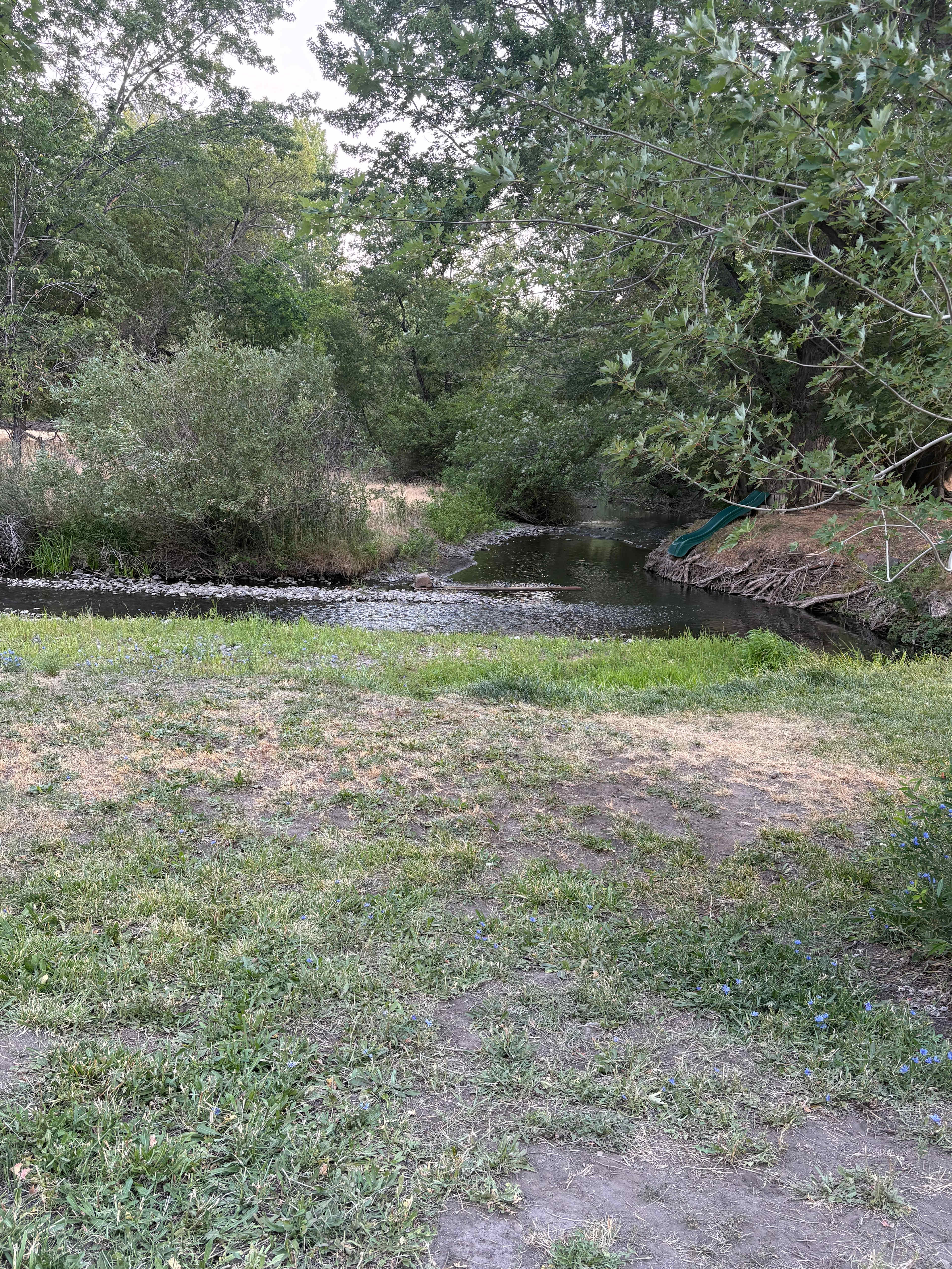 Creekside 
