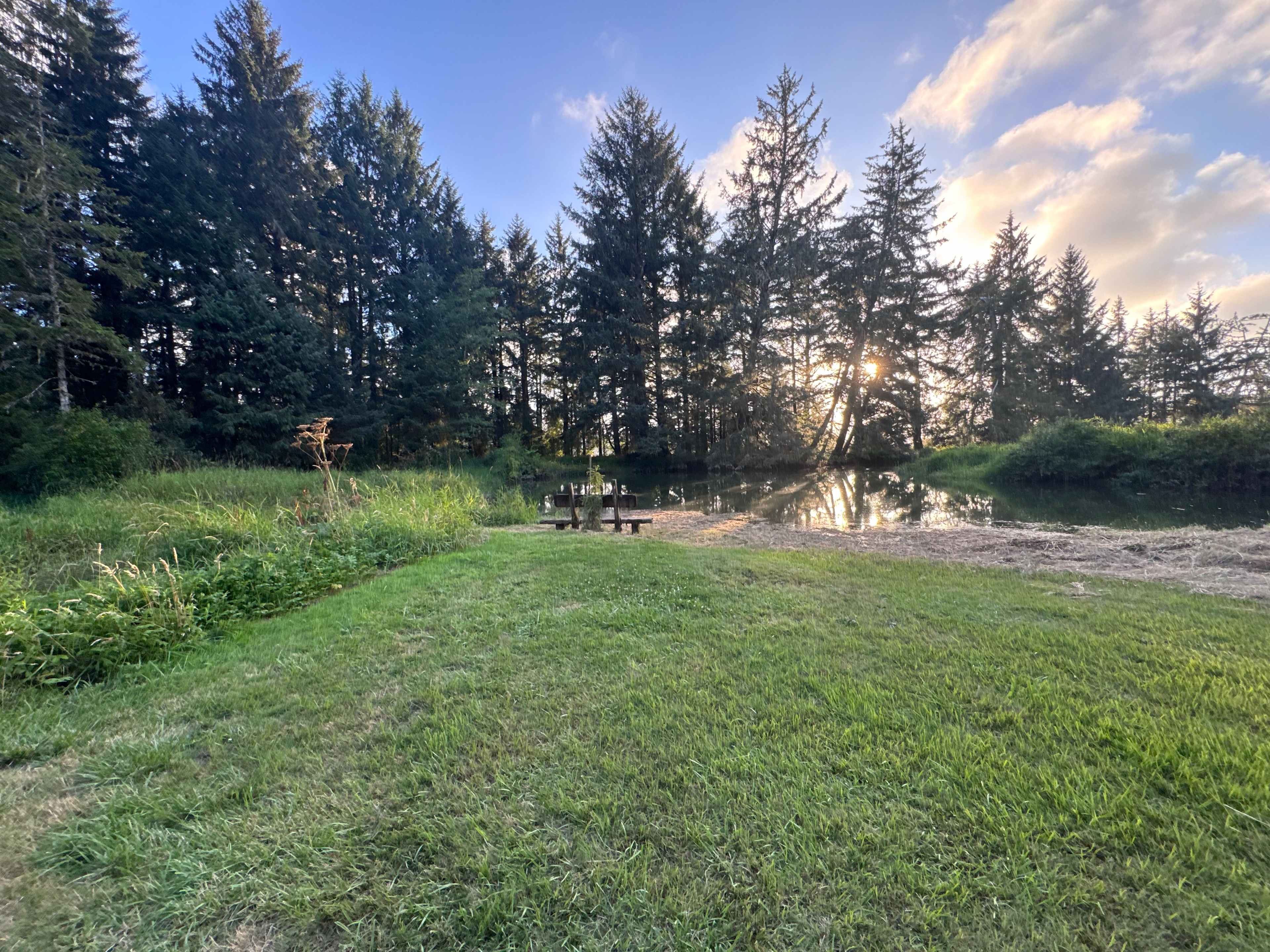 Picture of the site