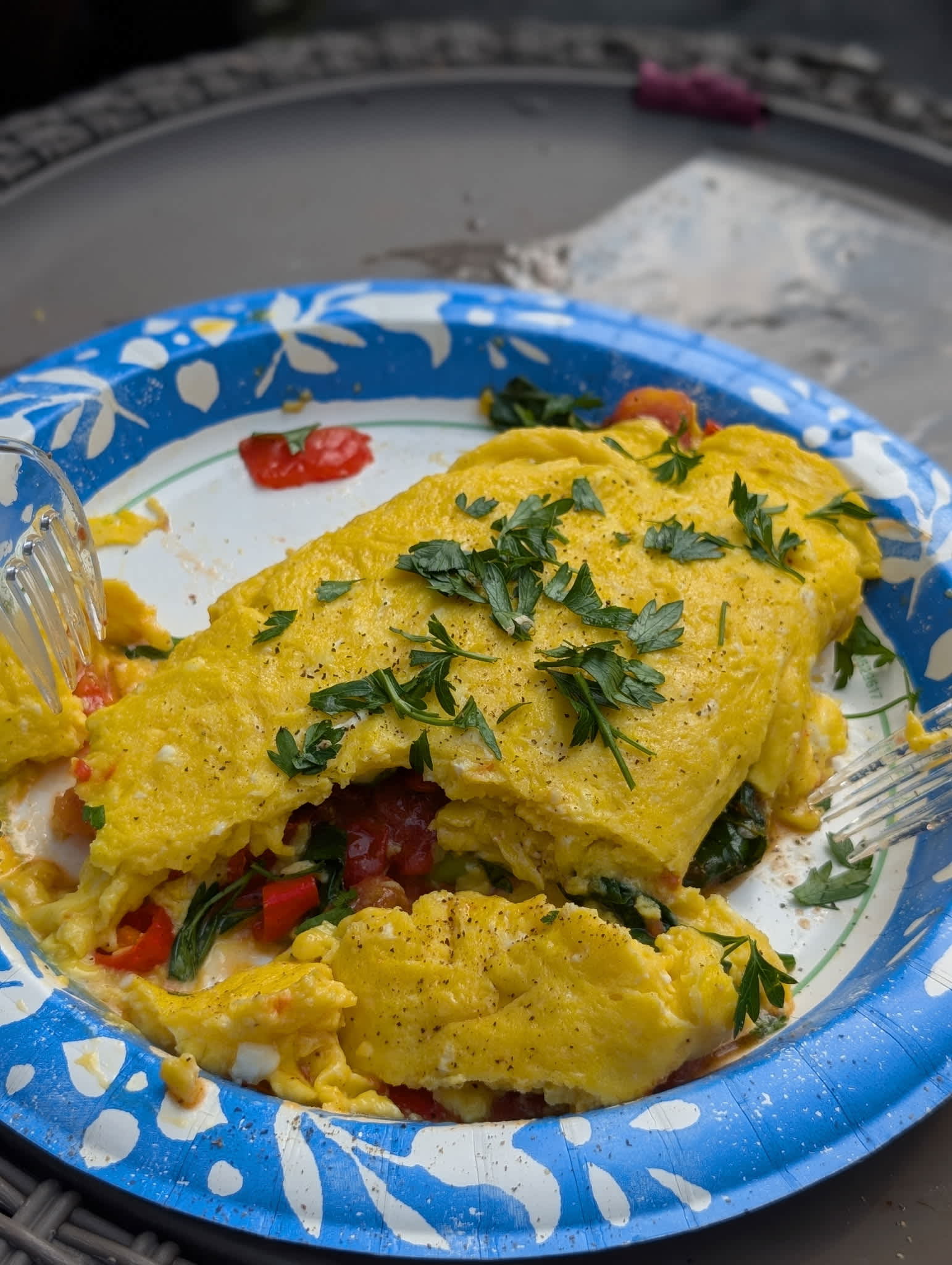 The tasty omelette we made on the farm with Fran's fresh eggs.