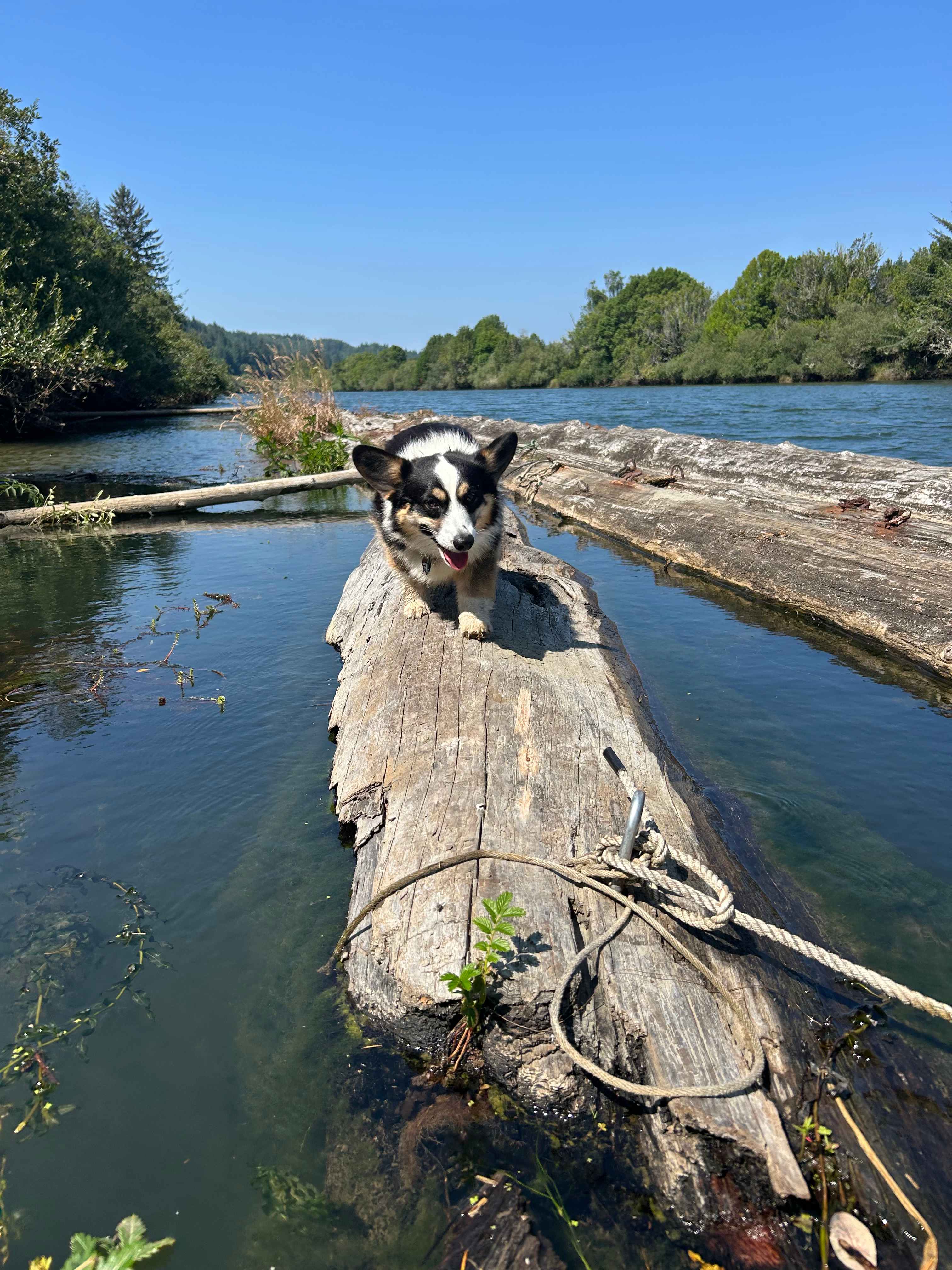 Riverbank Campground