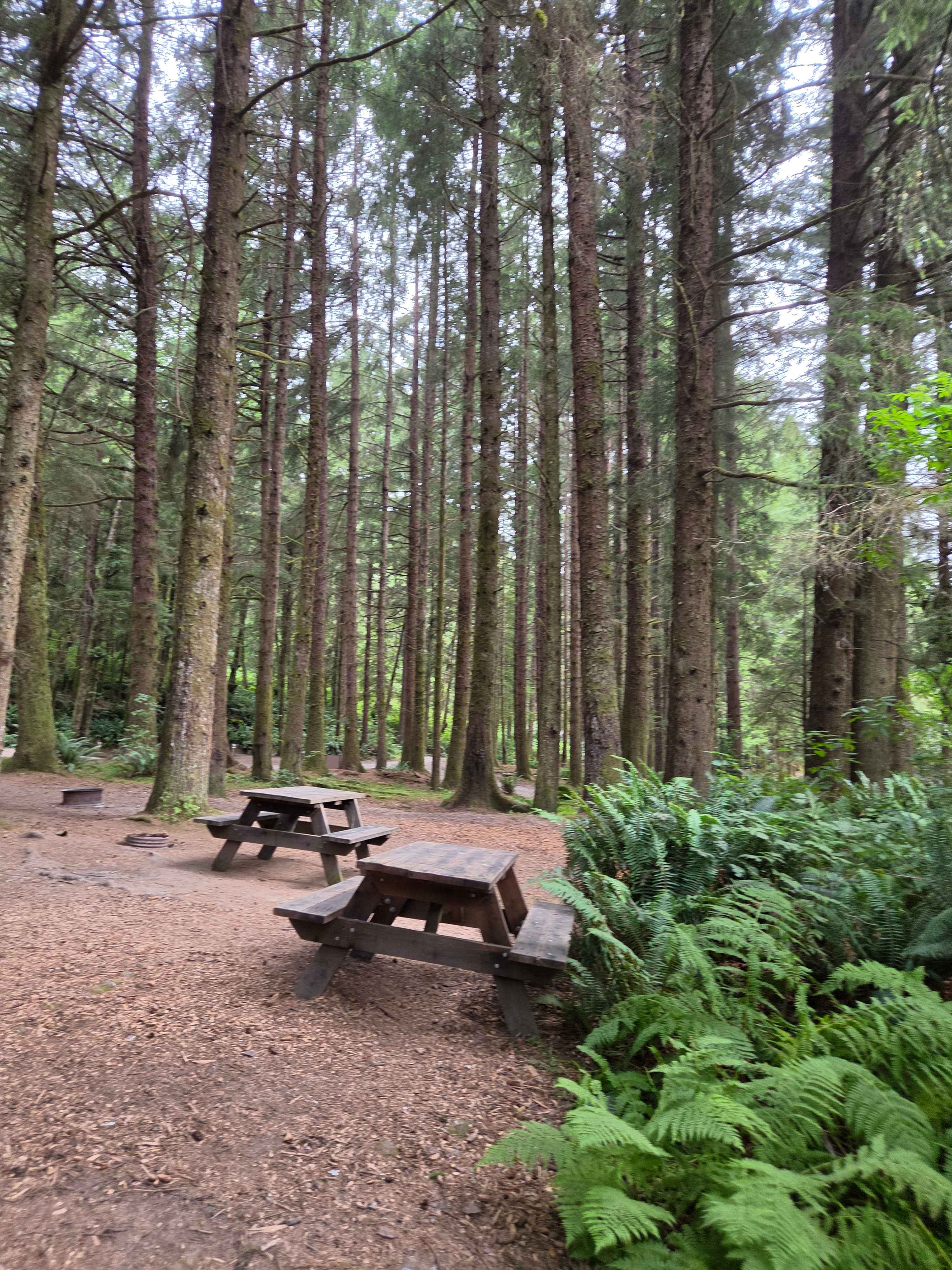 Elk Country RV Resort & Campground