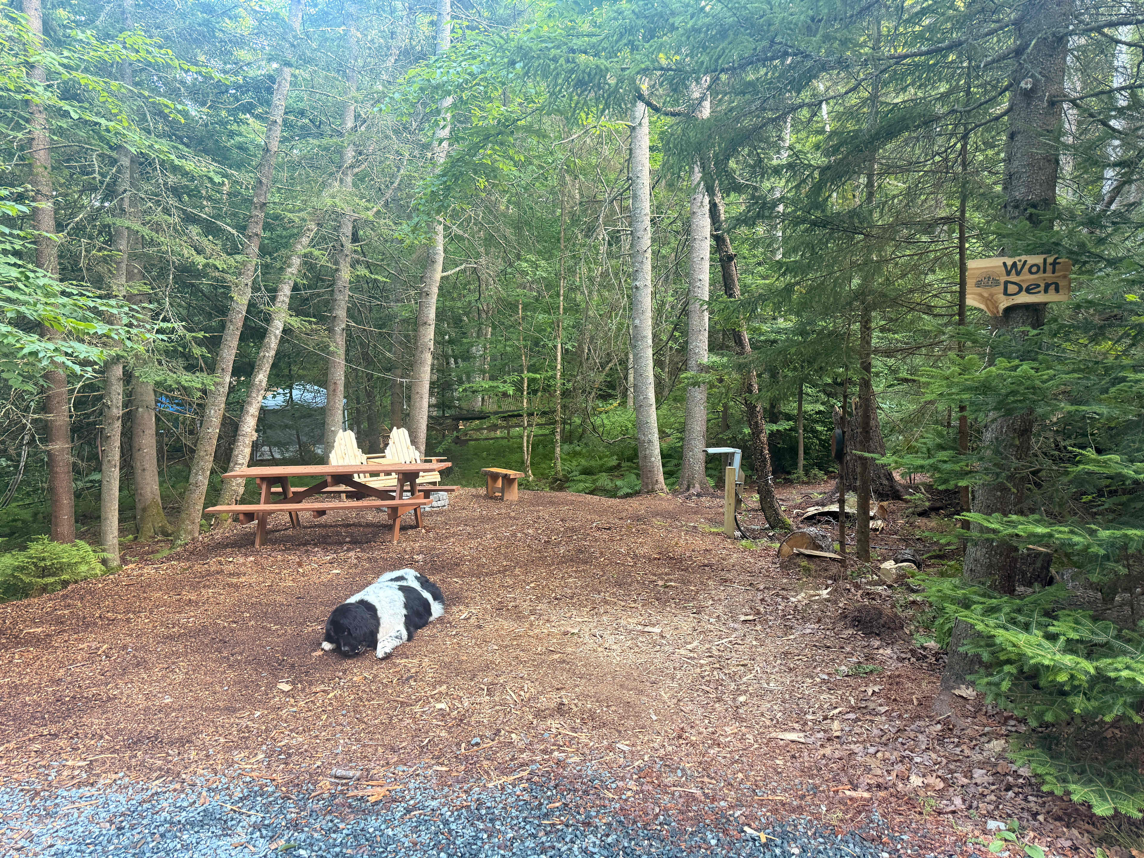 Picture of the site