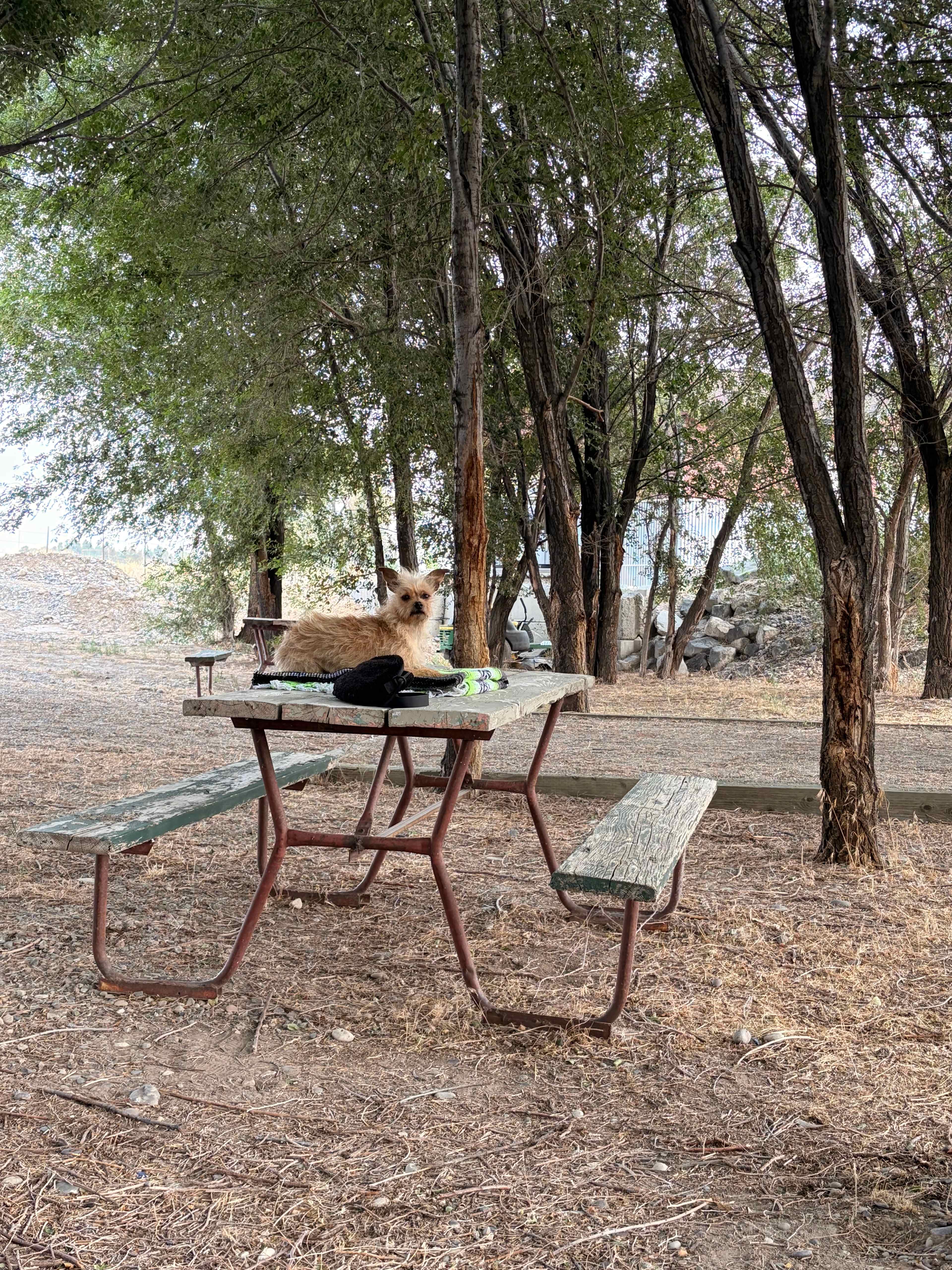 Yellowstone Lakeside RV Park