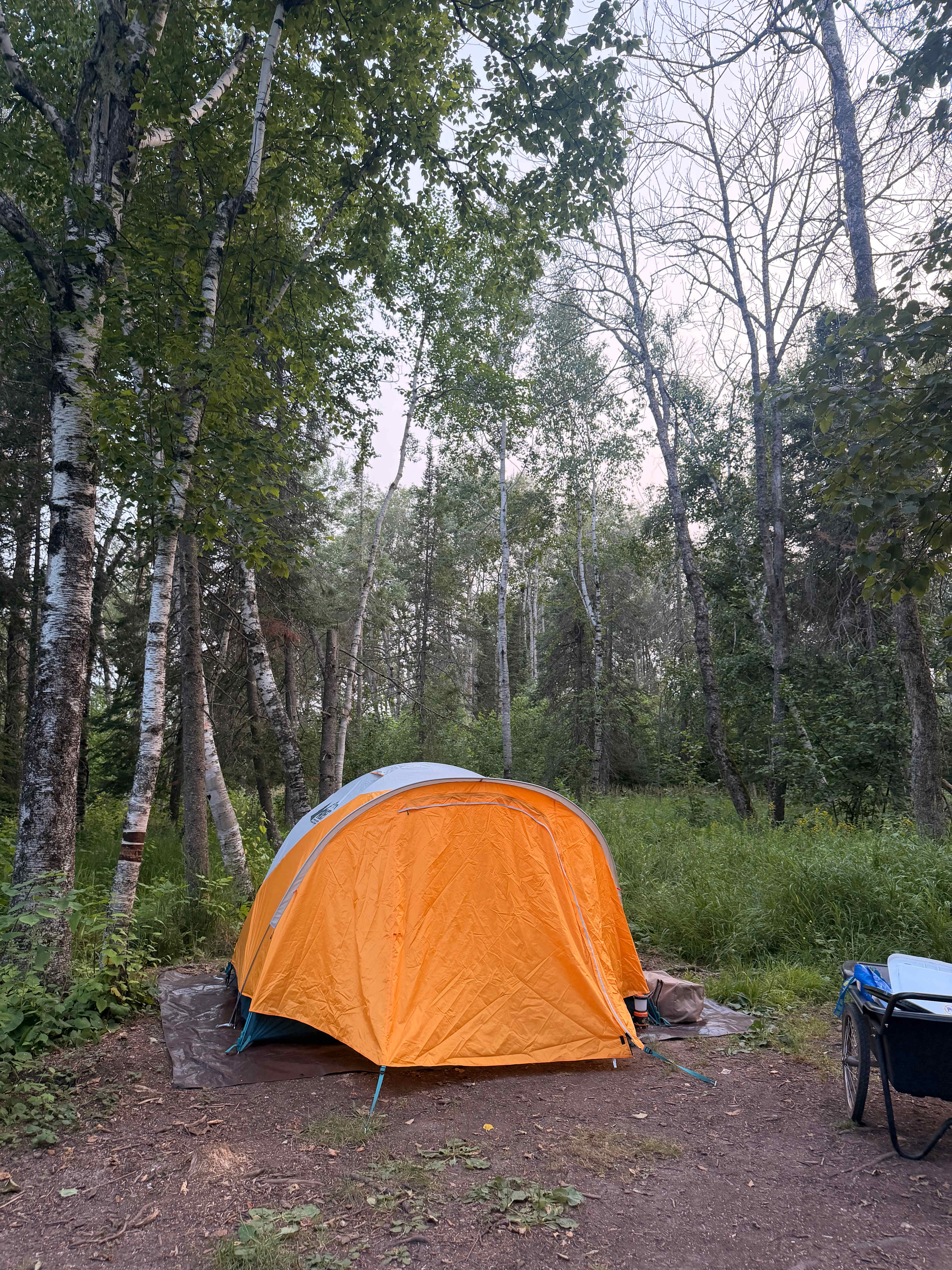 Campsite