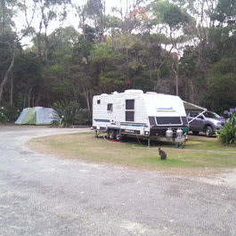 Picture of the site