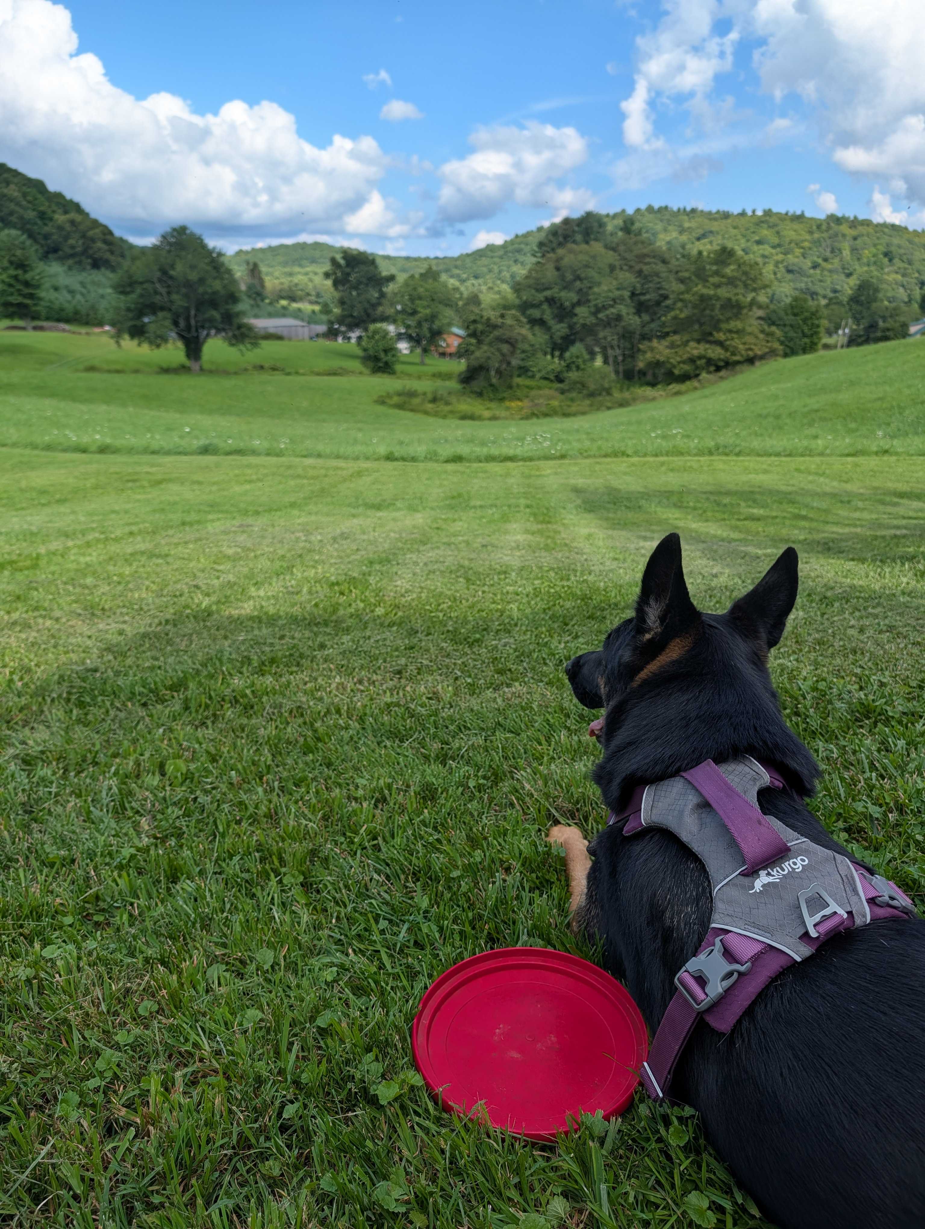 Country Meadows