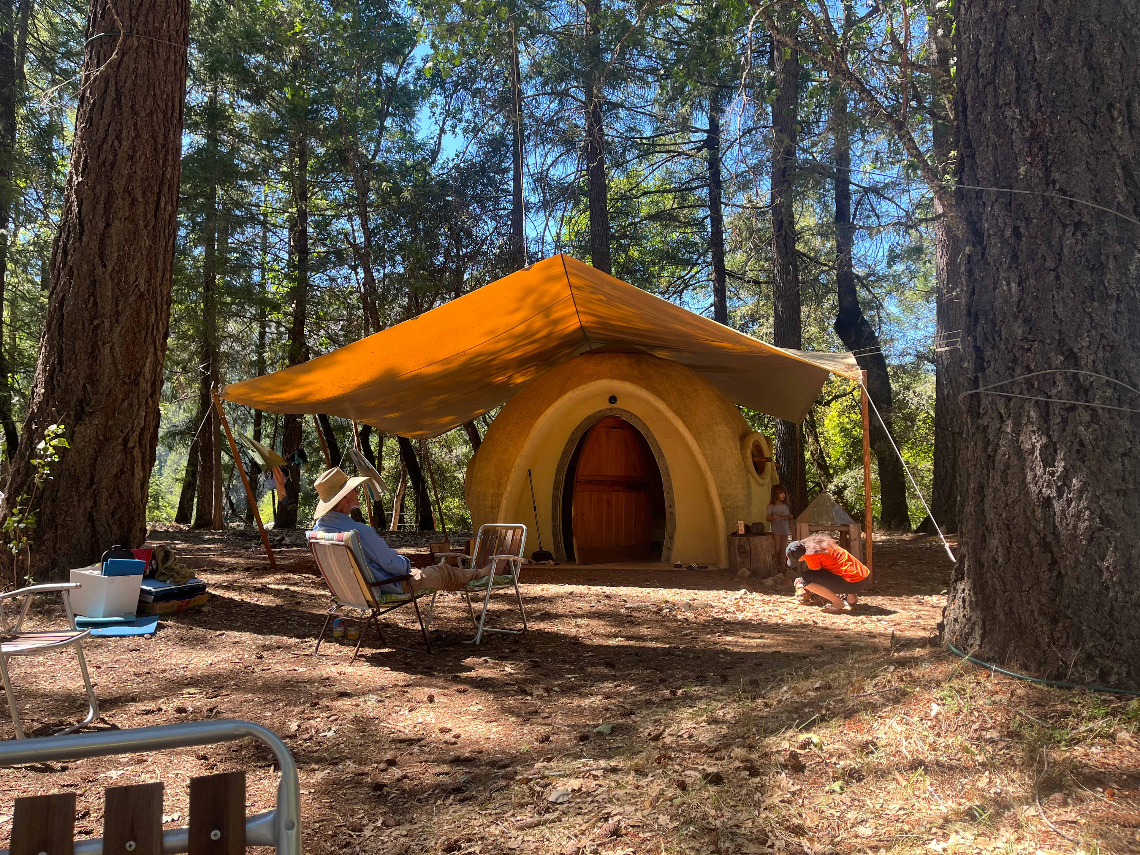 Cedar Bloom
