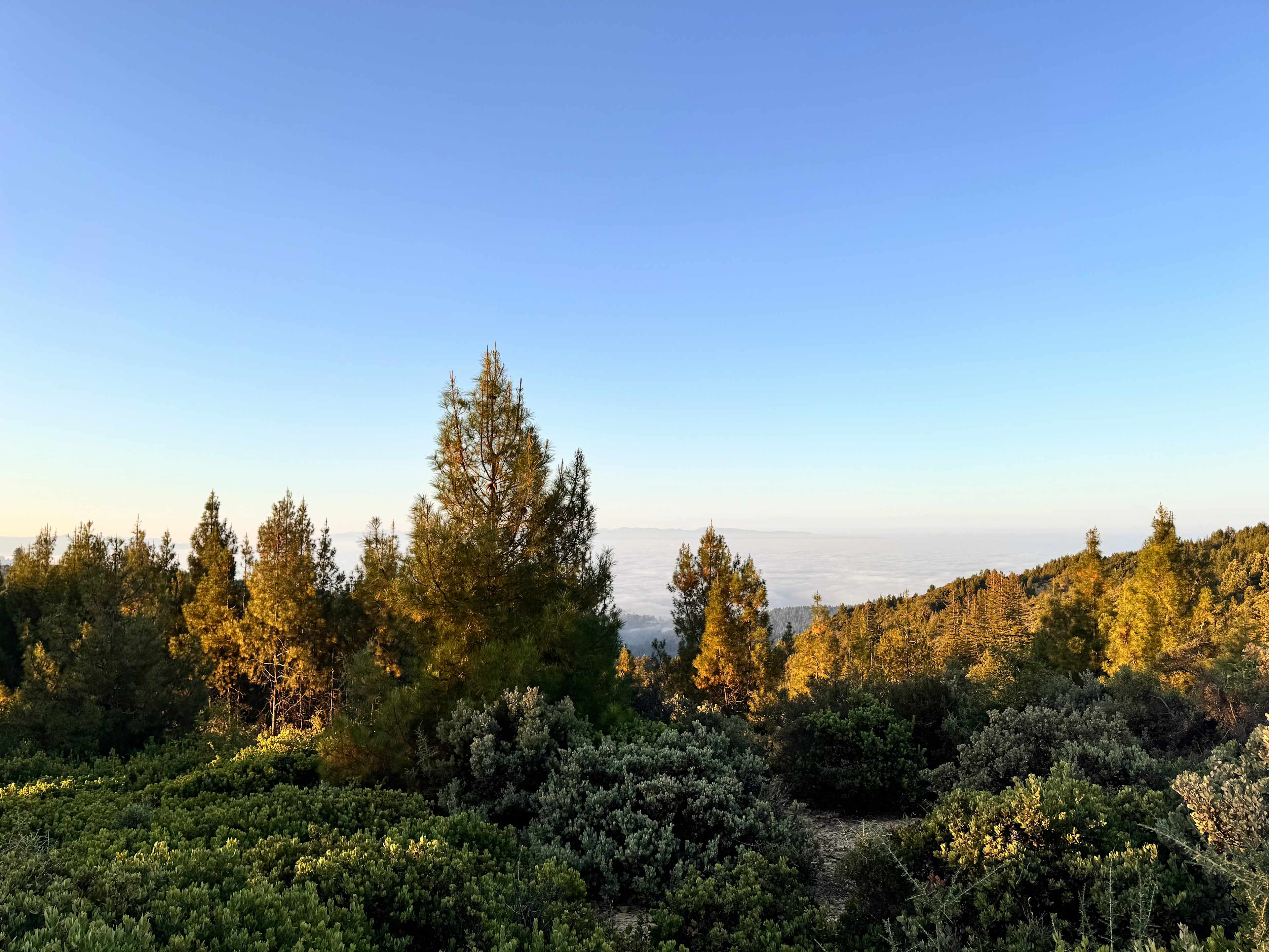 Santa Cruz Mountains with ocean 👁