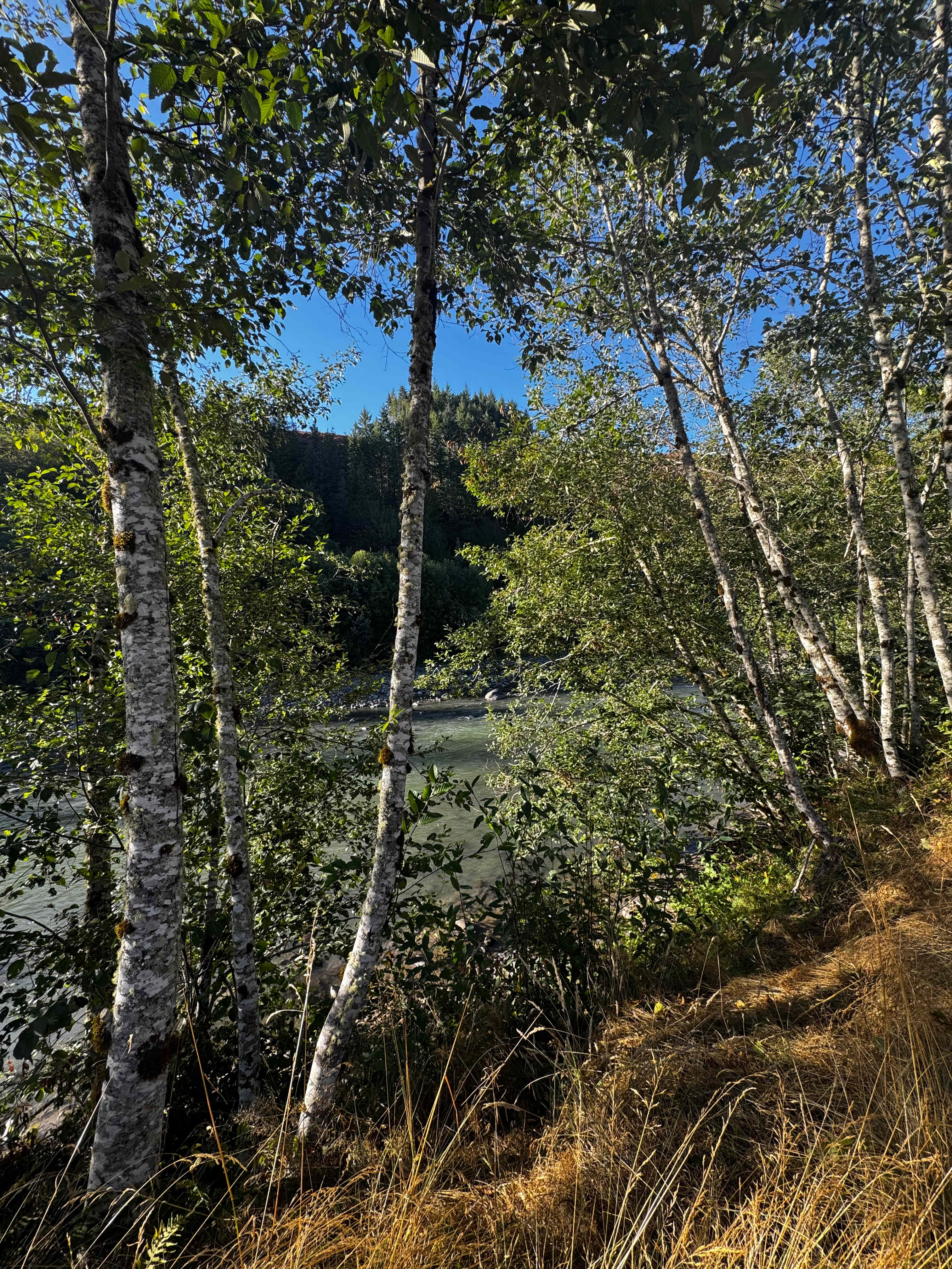 River view