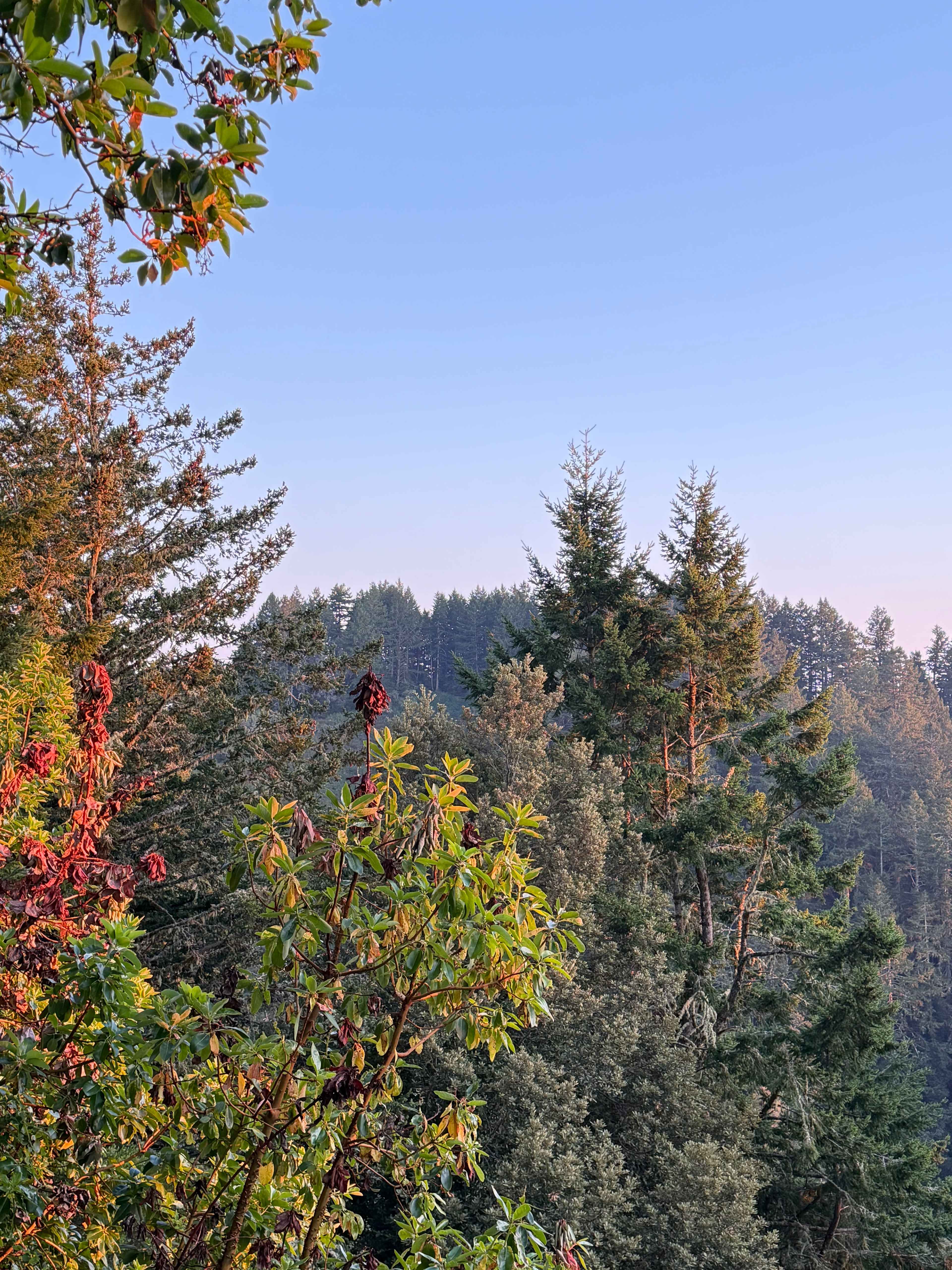 Kings Mountain Camp w/ ocean views