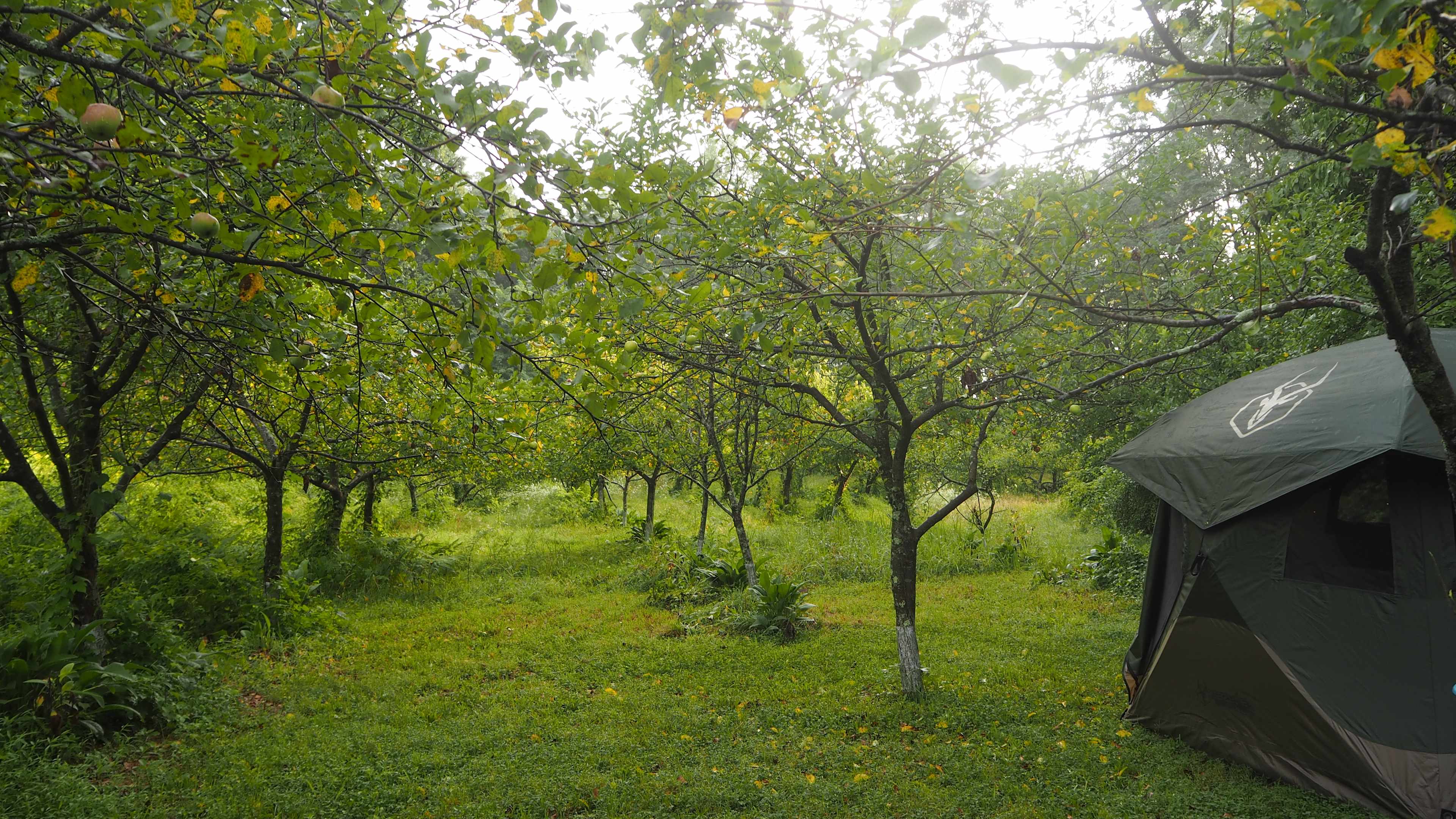 Historic Sundial Farm