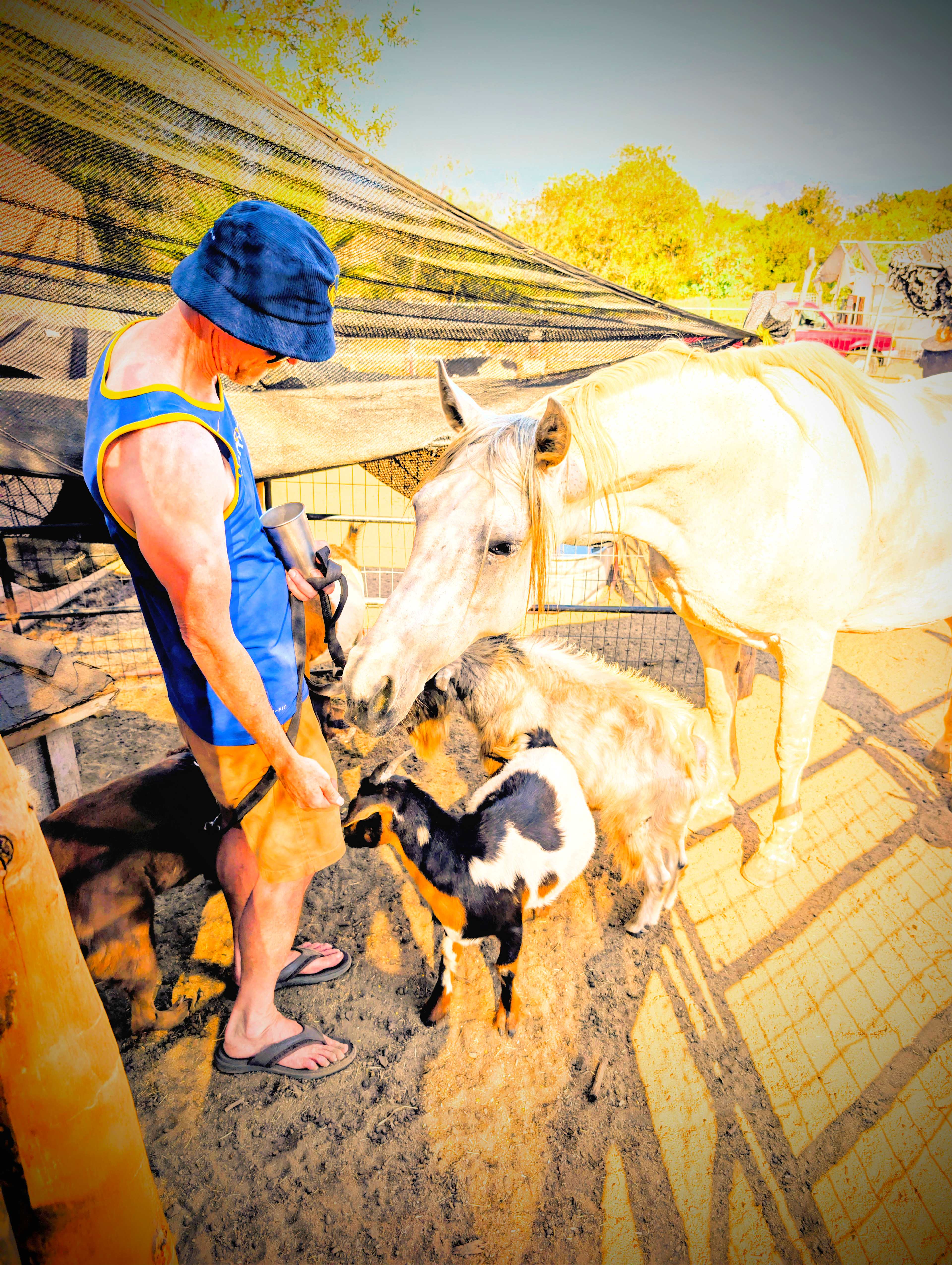 Splitrock Farm and Retreat