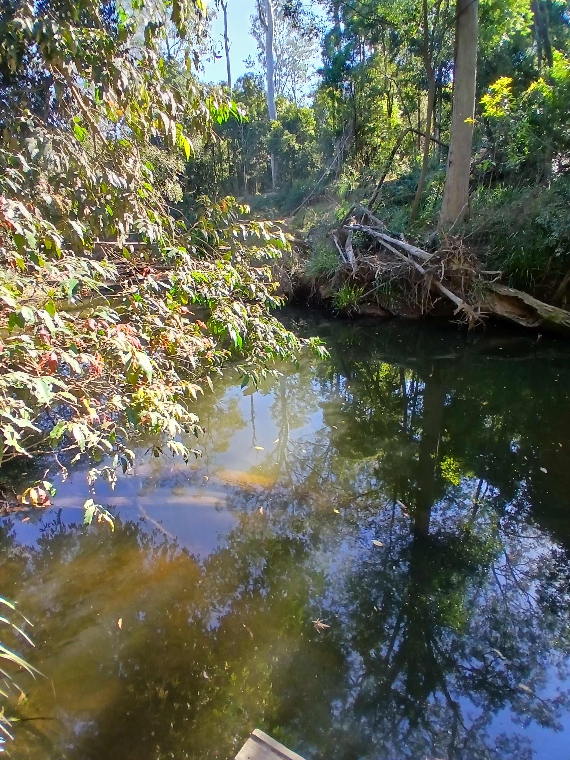 Hidden Creek Farm Qld