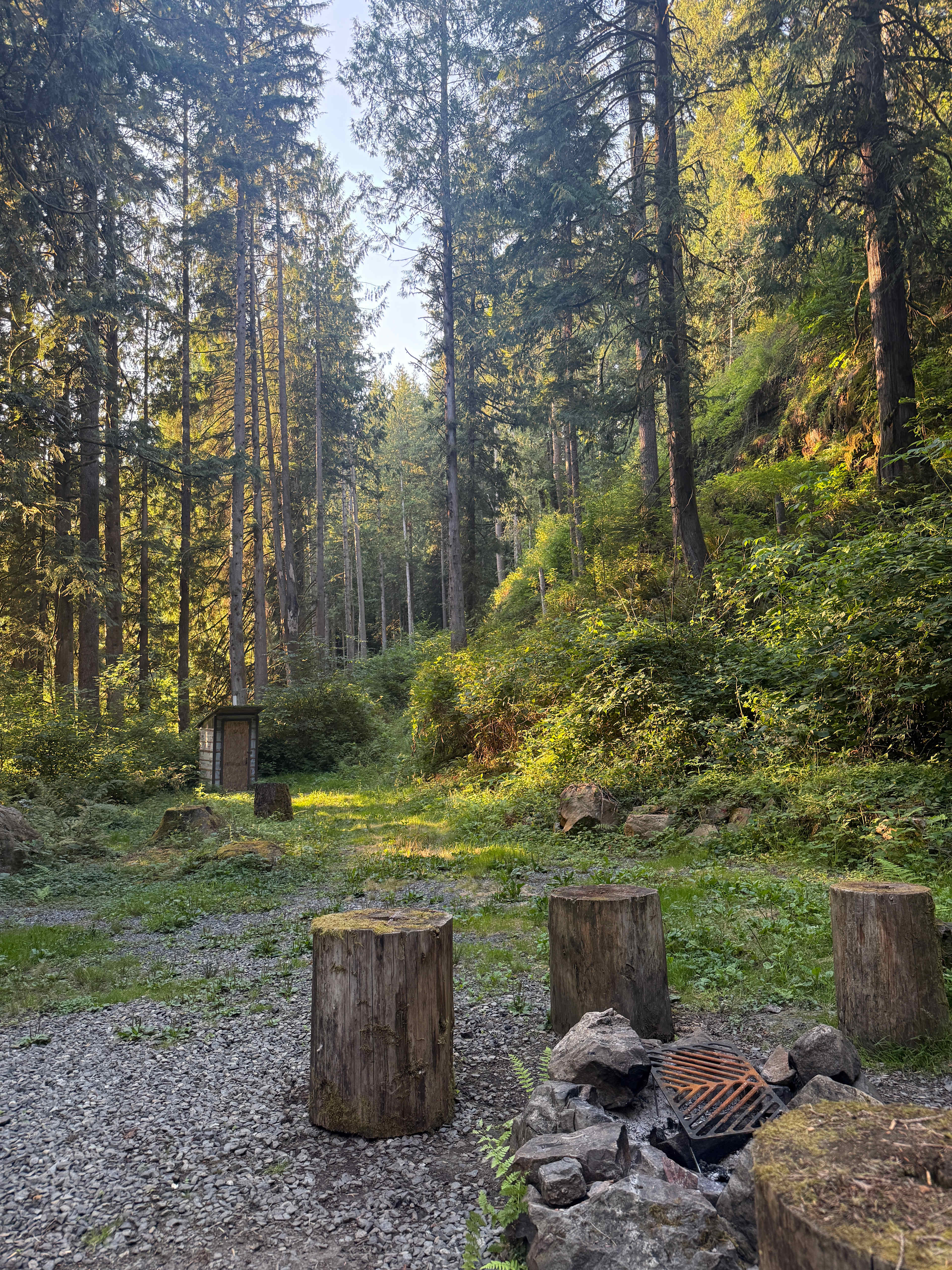 Valhalla Tree Farm