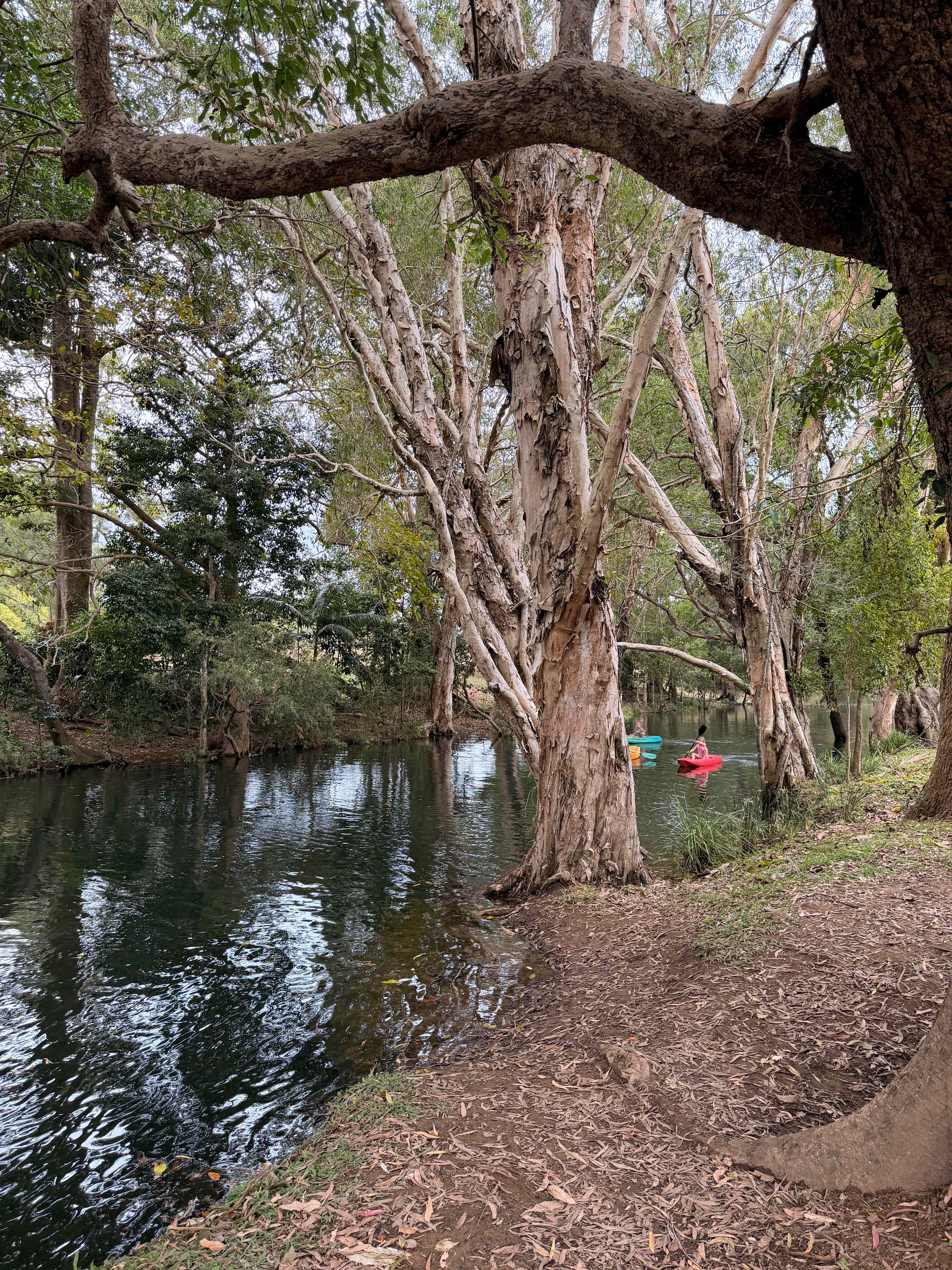 Ilbilbie Station Farm Stay