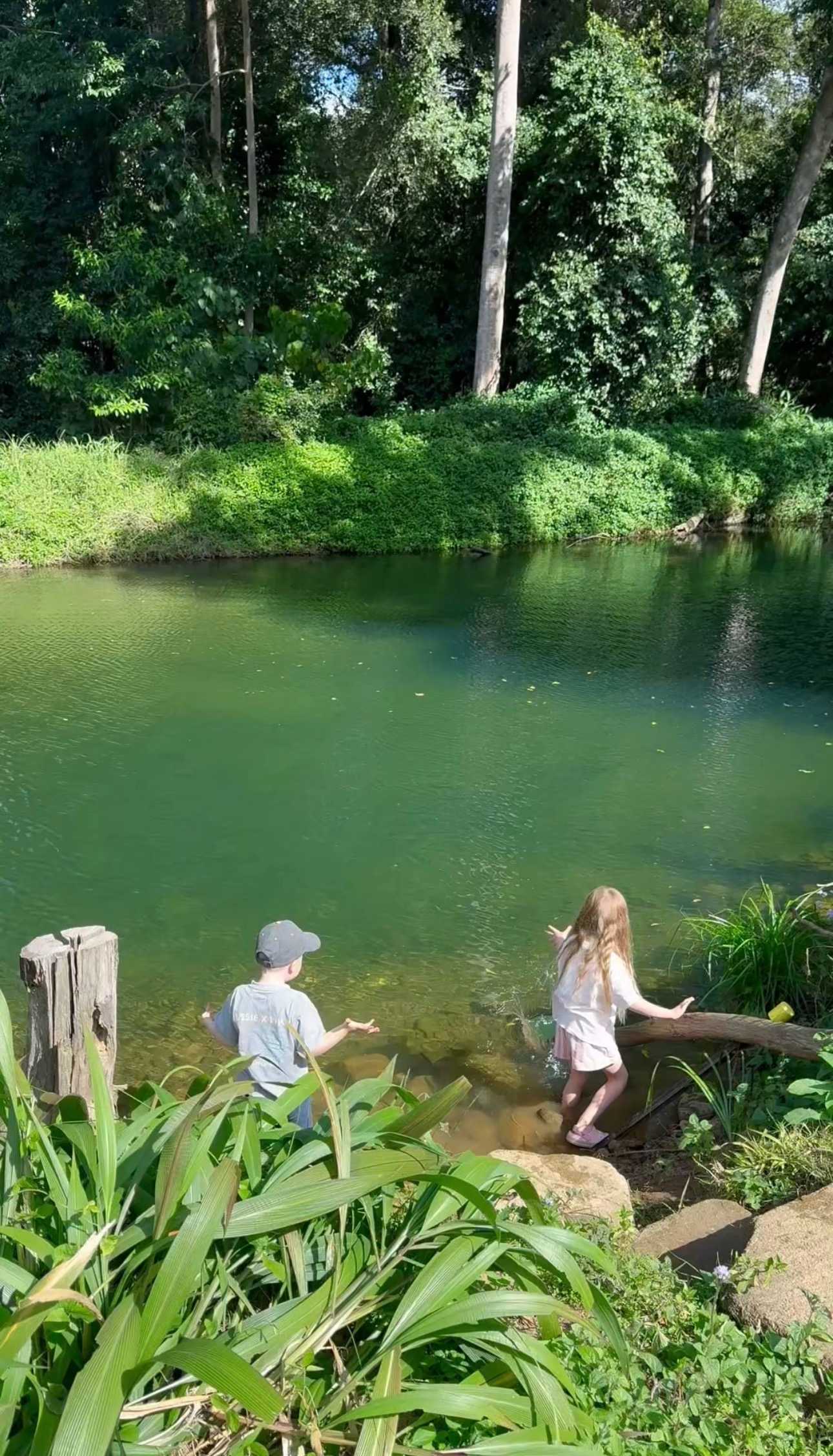 Wongawallan Creek Estate