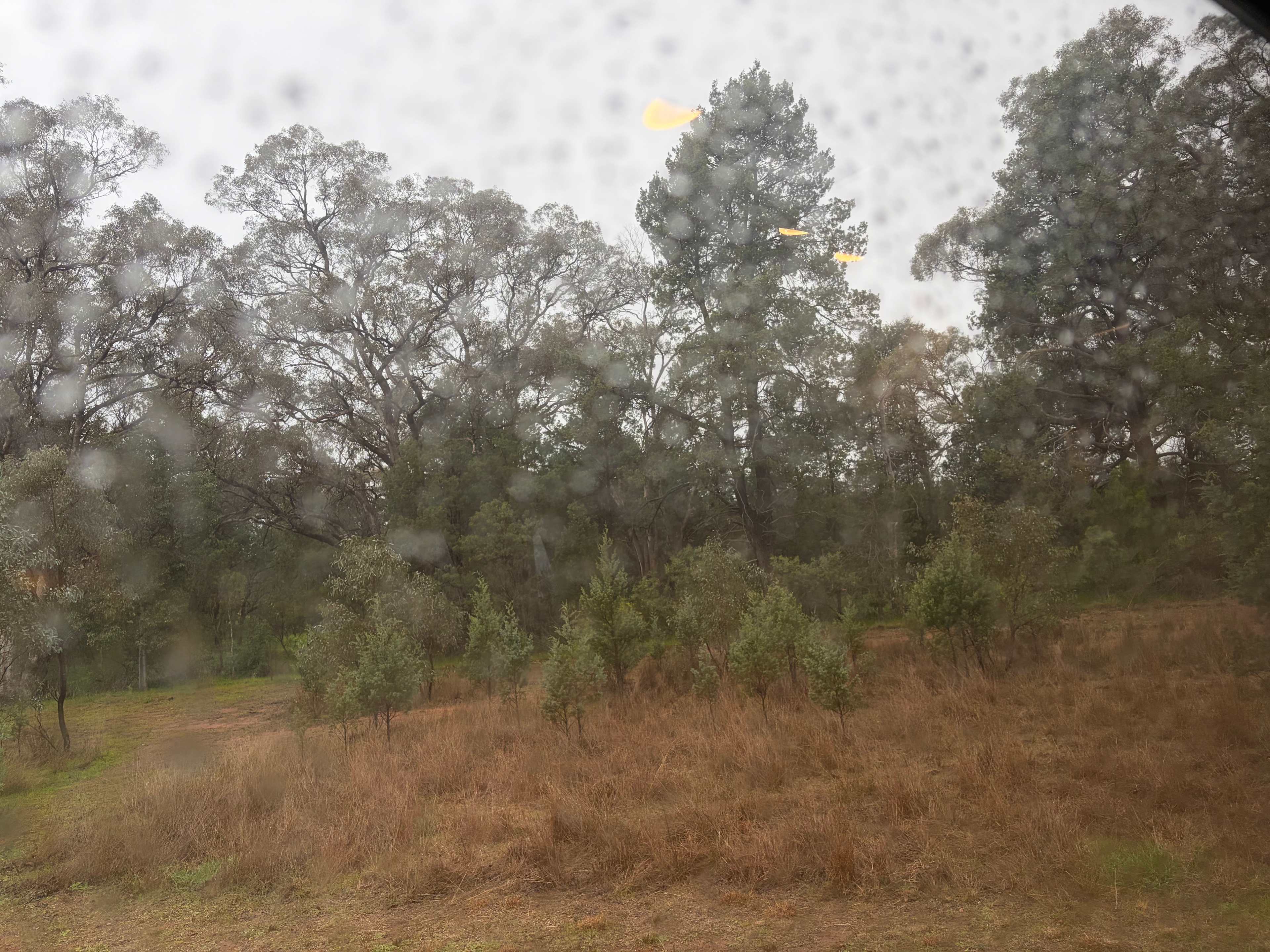 KANGAROO CREEK CAMP DUBBO