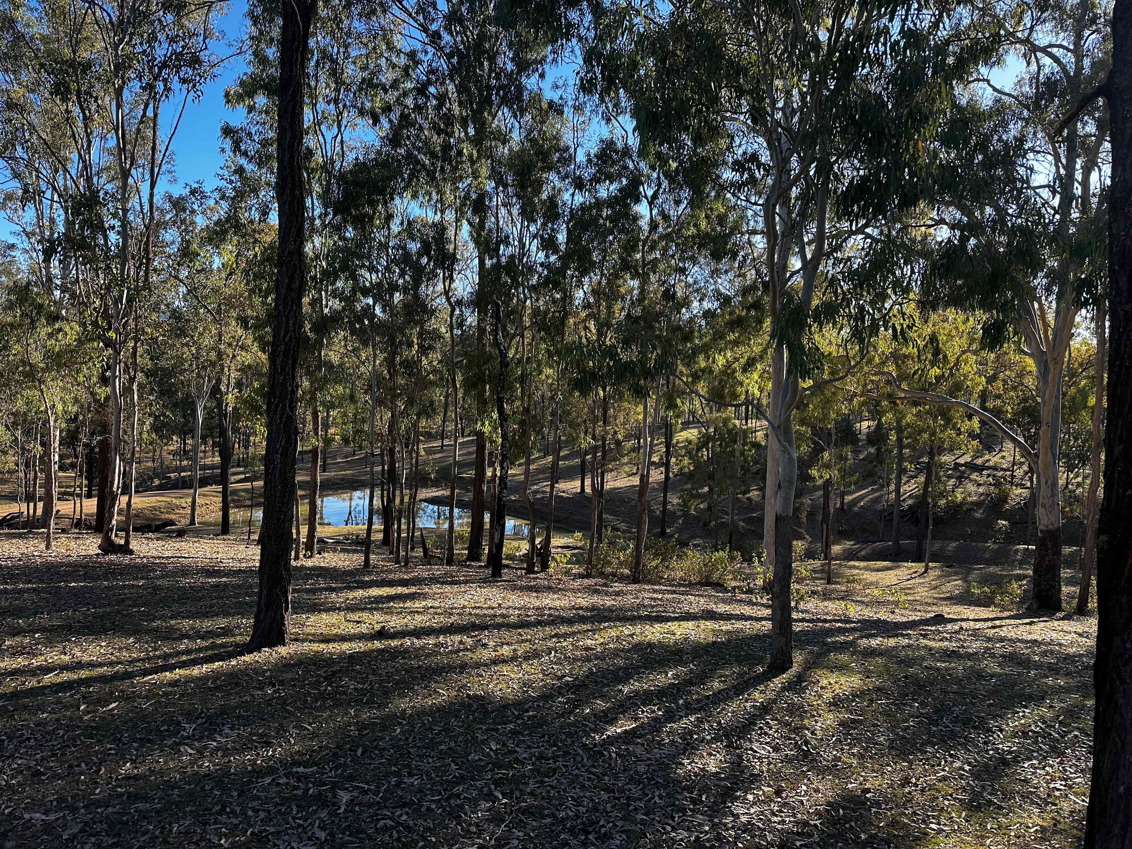 Possum Bush Retreat FARMSTAY