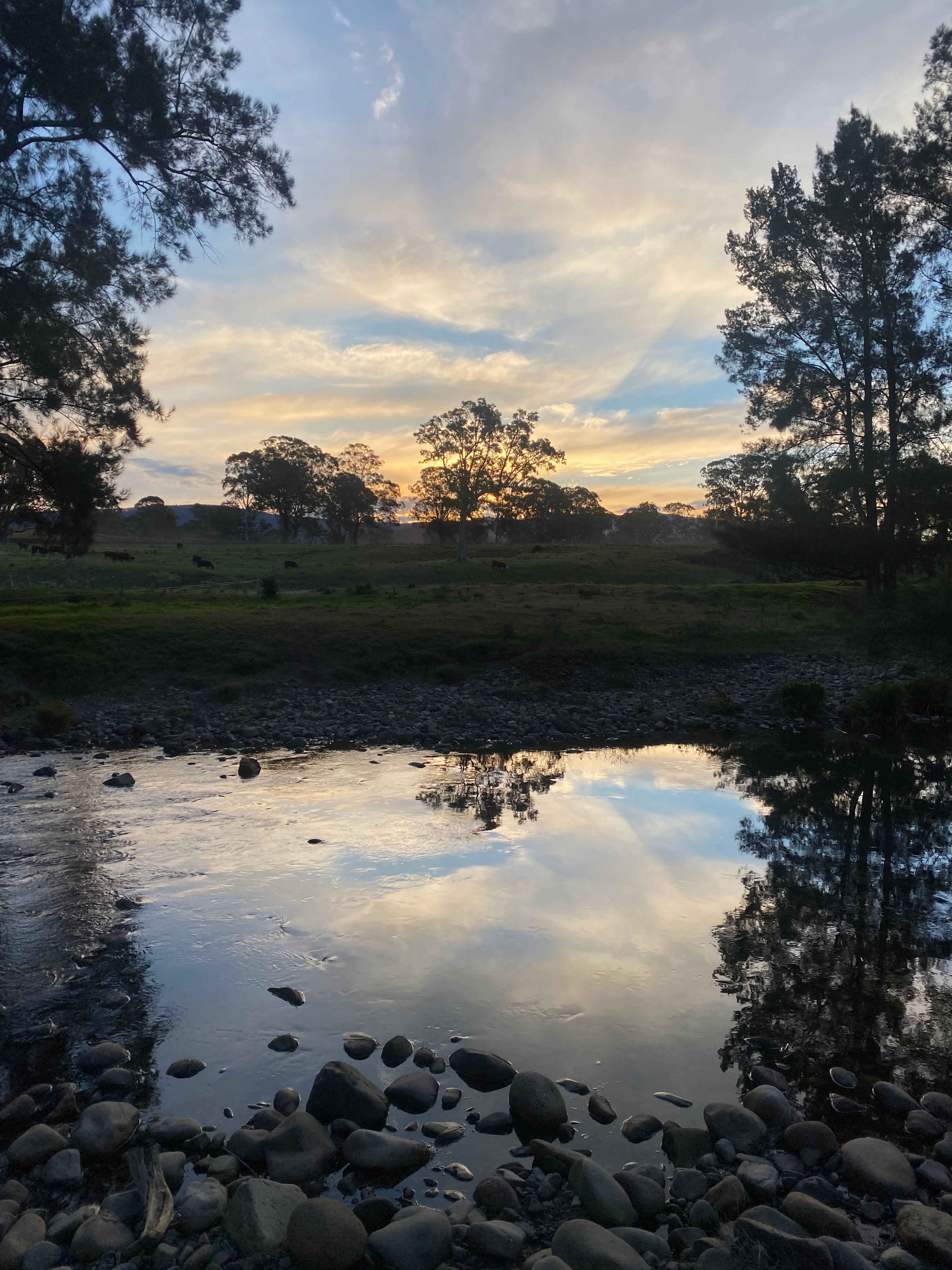 Platypus Pools