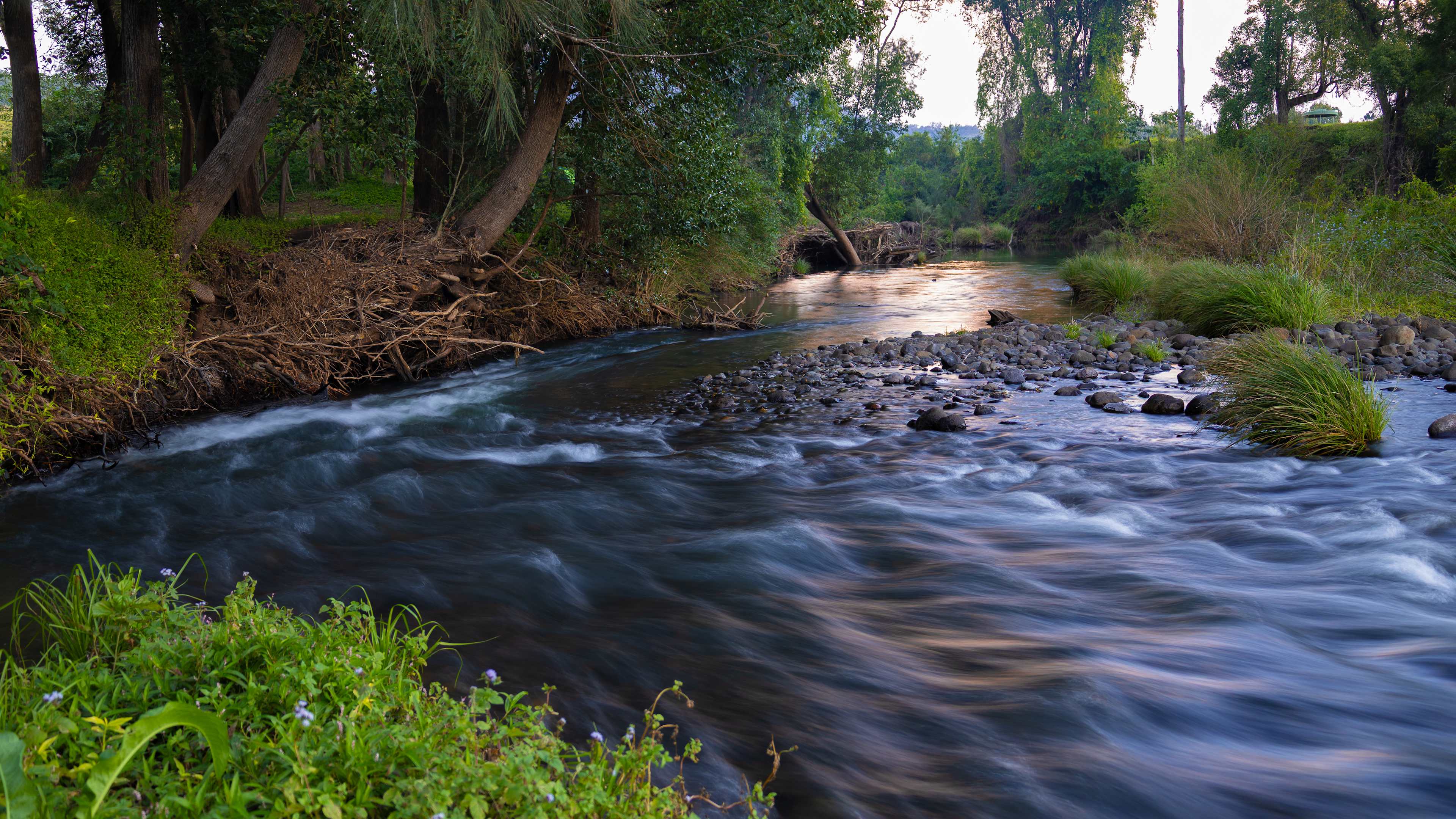 Mt Lion Farm Secluded Creek Camping