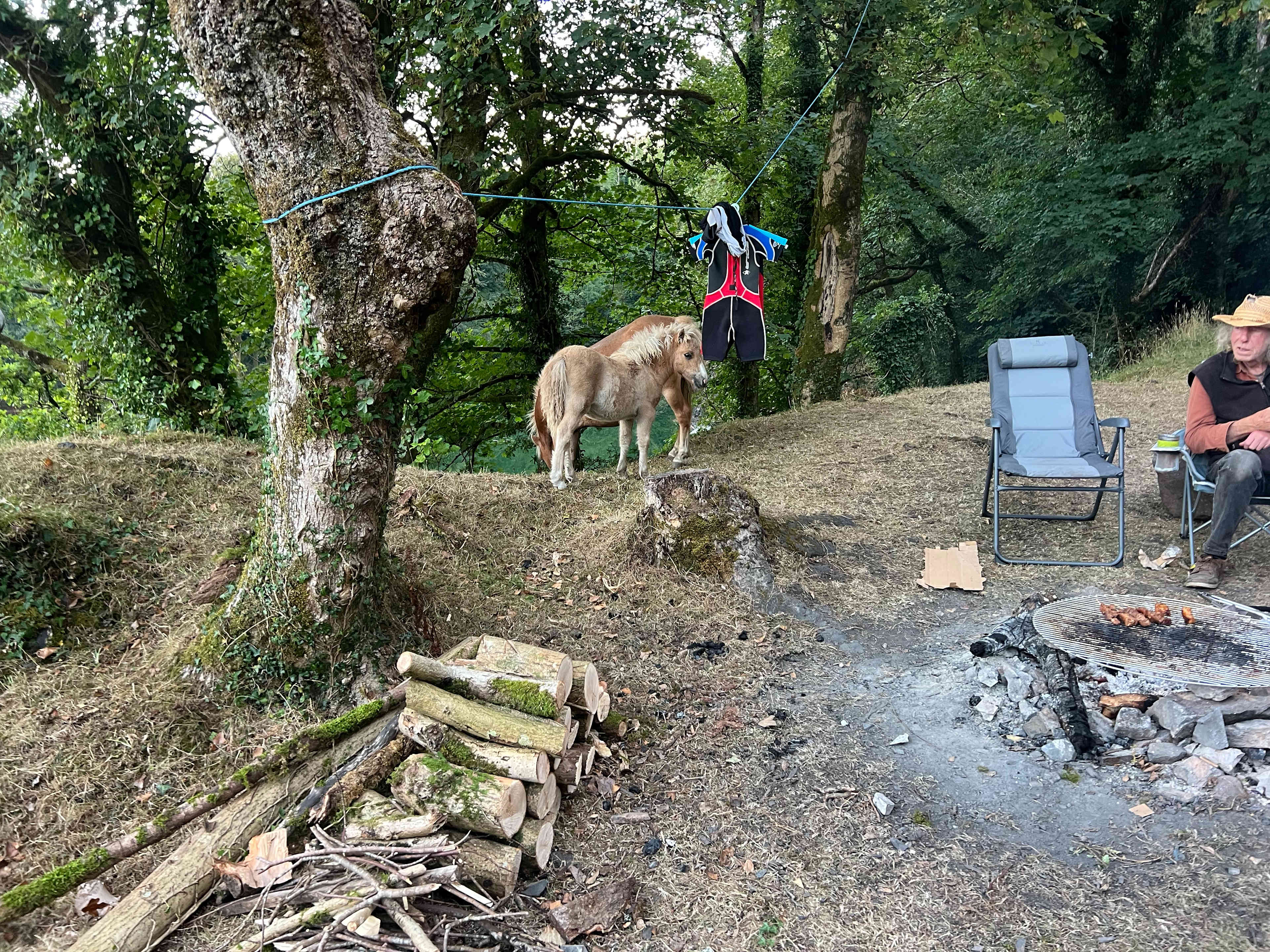 Meldon Lake and Woods Wild Camping