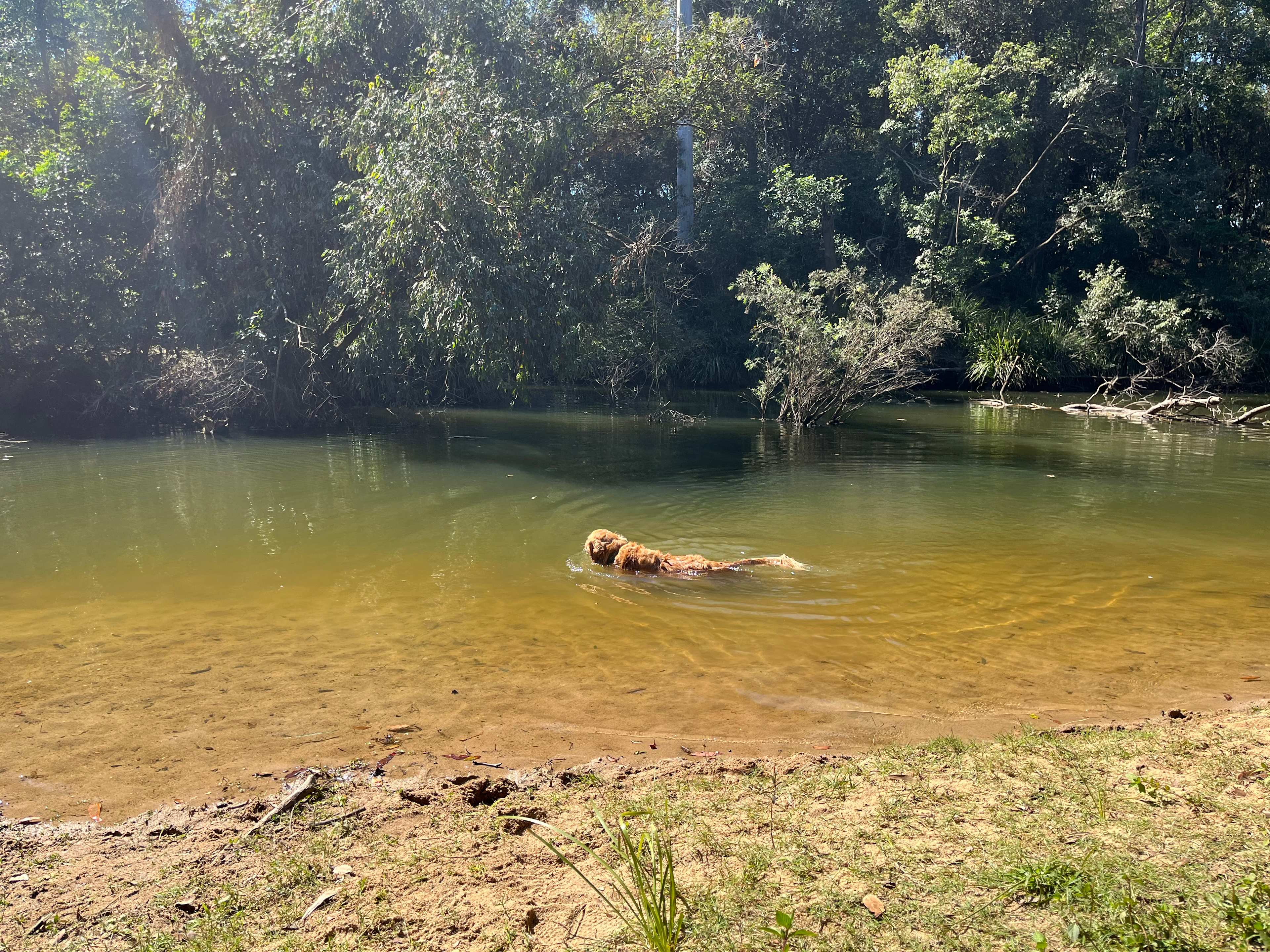 Hidden Creek Farm Qld
