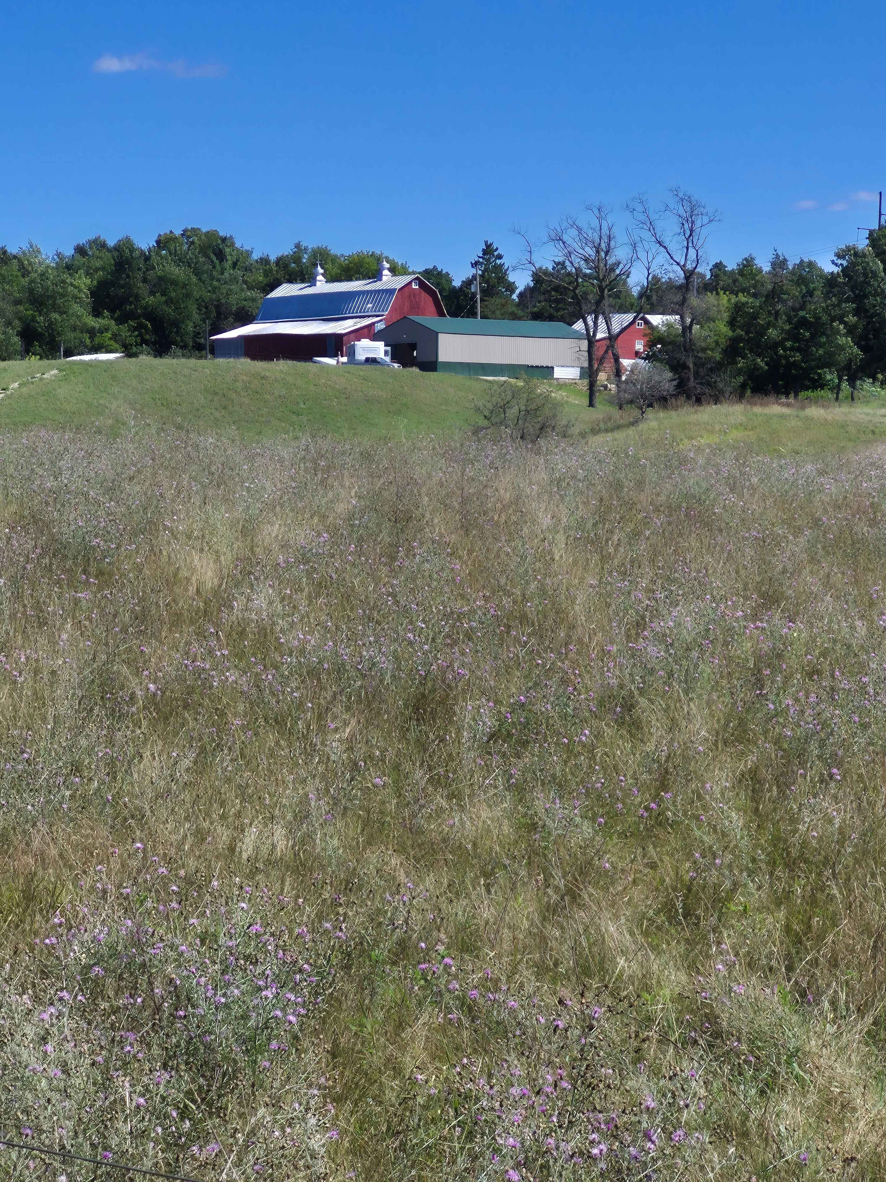 RileyCrest Farm