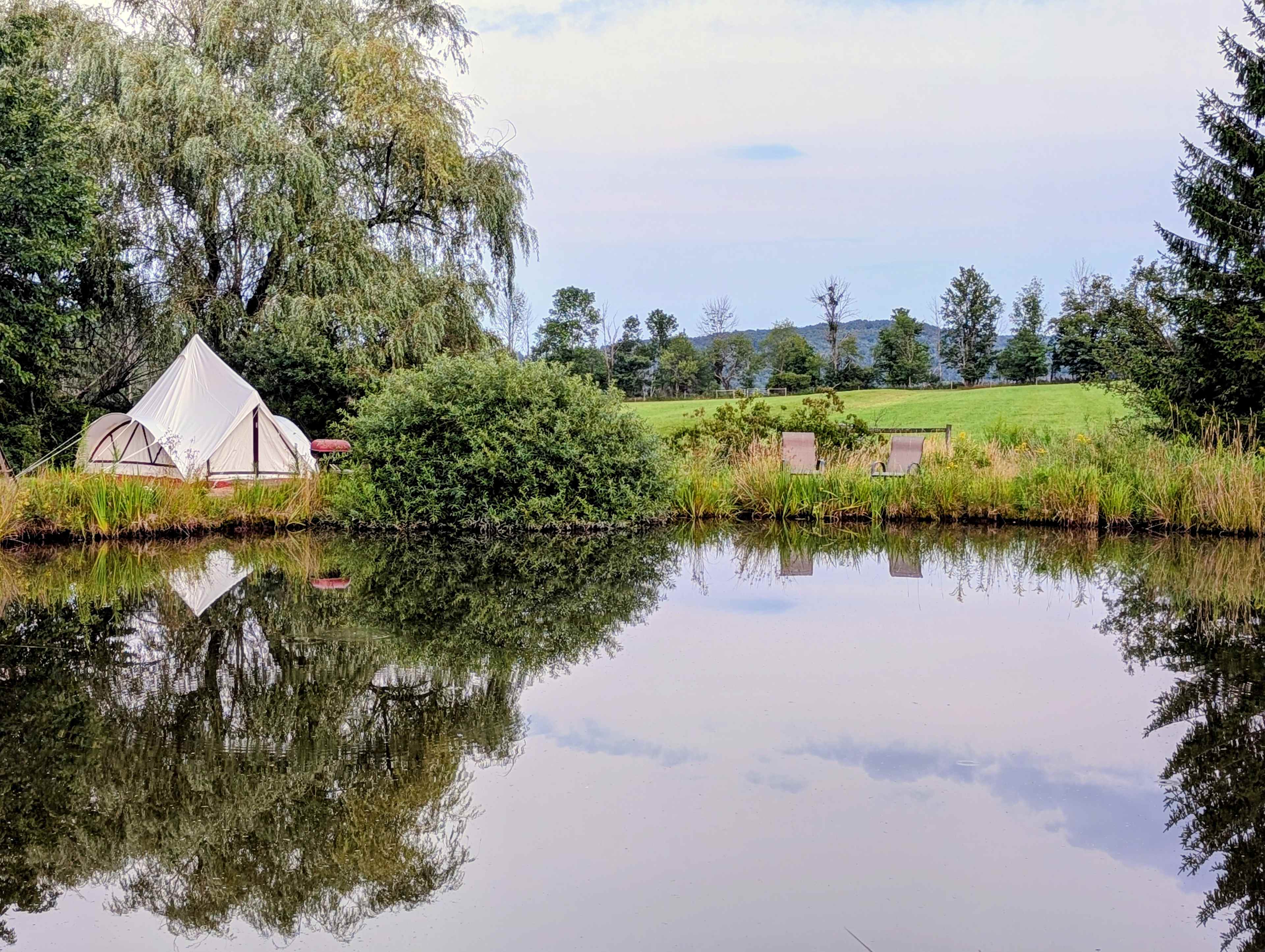 Picture of the site