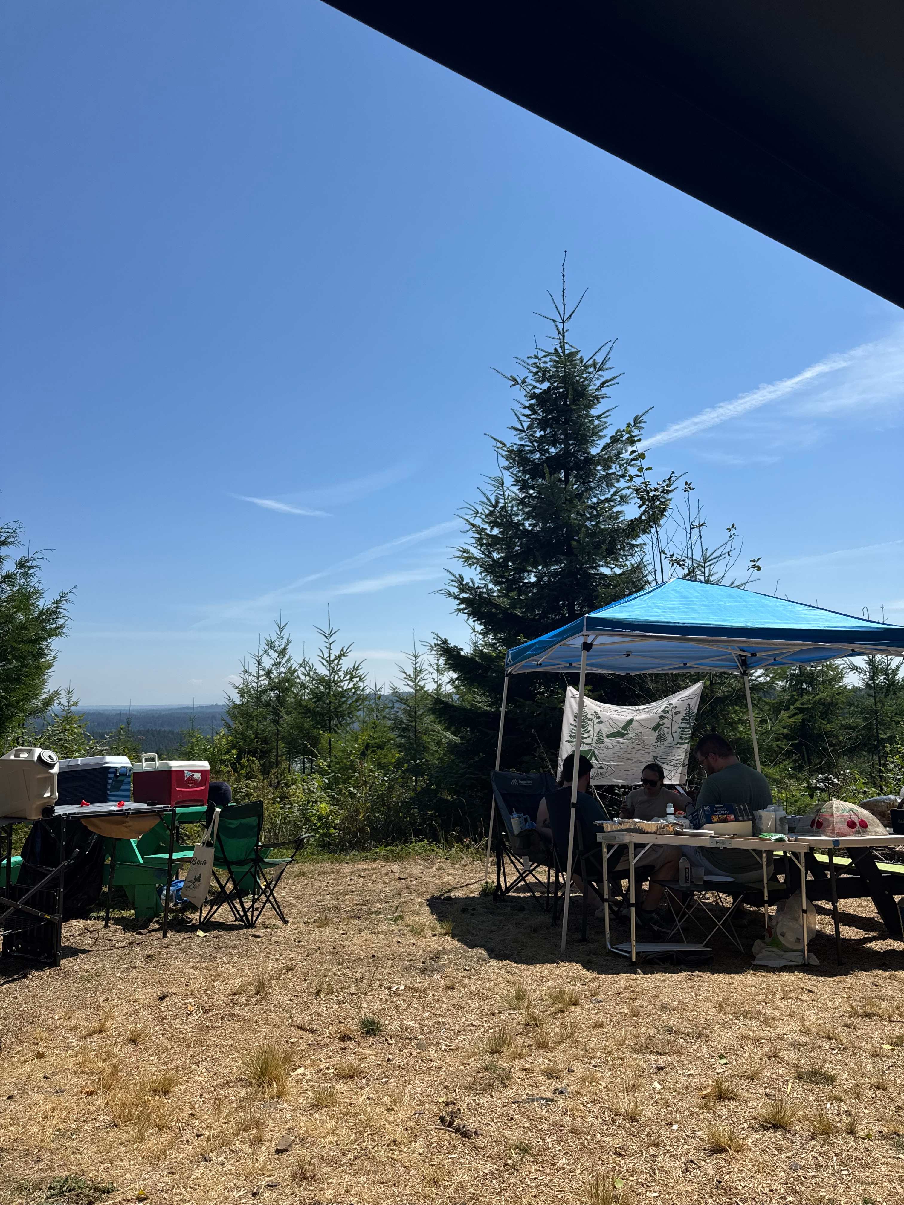 Hairy Eagle Lookout 🦅