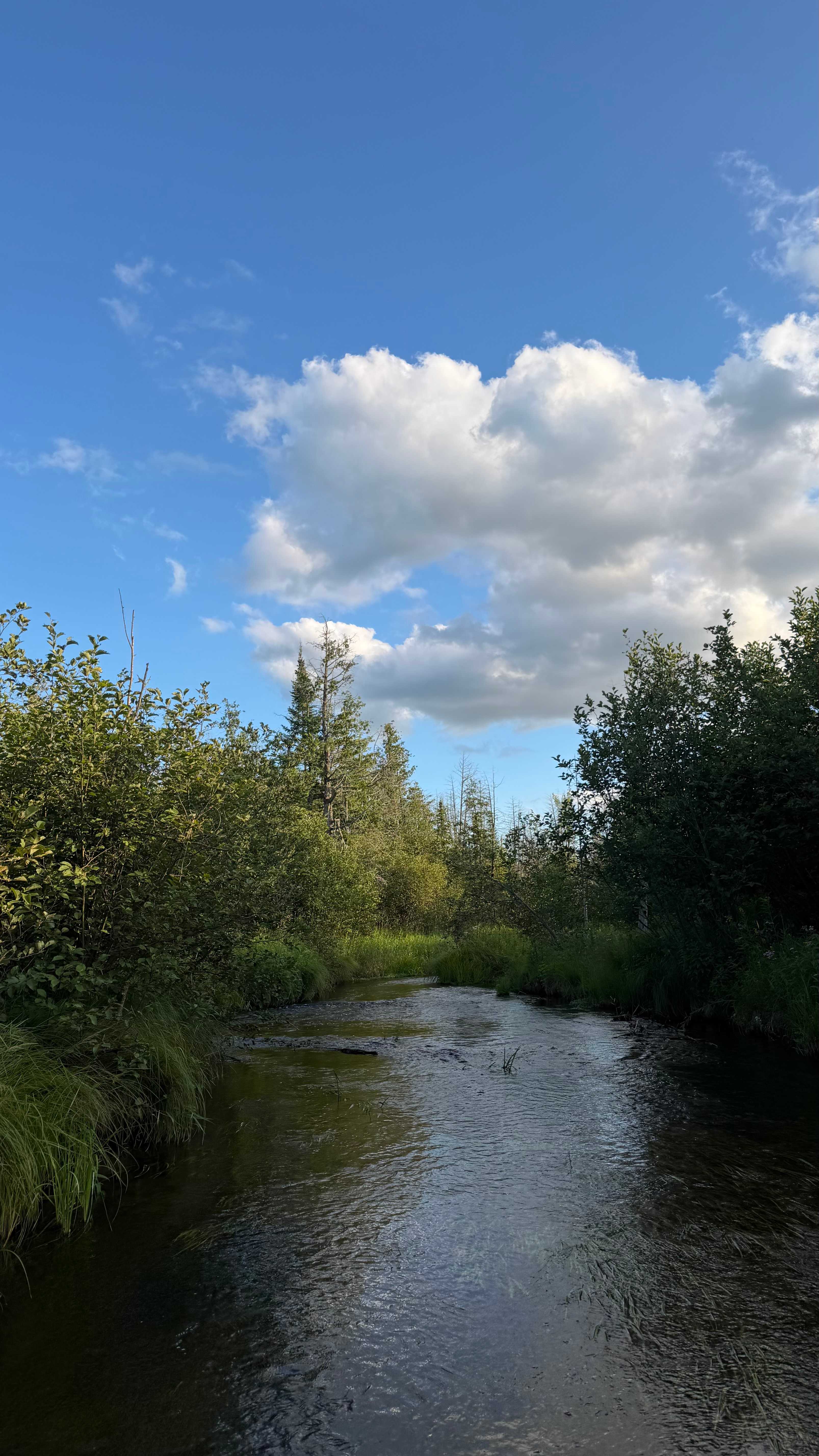 Camp 437 in the Sturgeon Valley