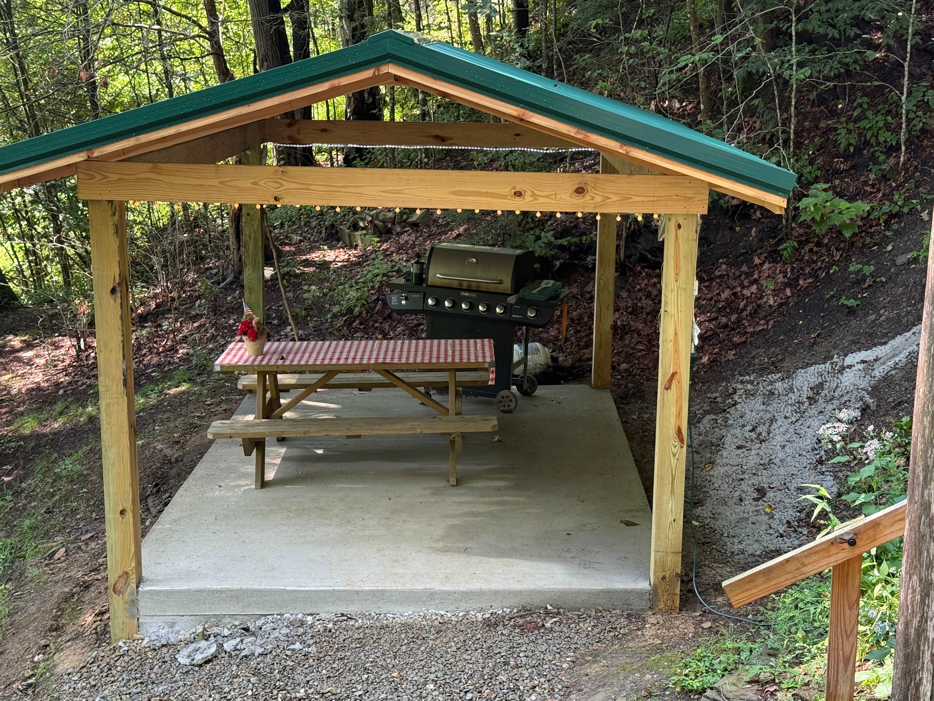 The Nest - Creekfront Cabin In ANF