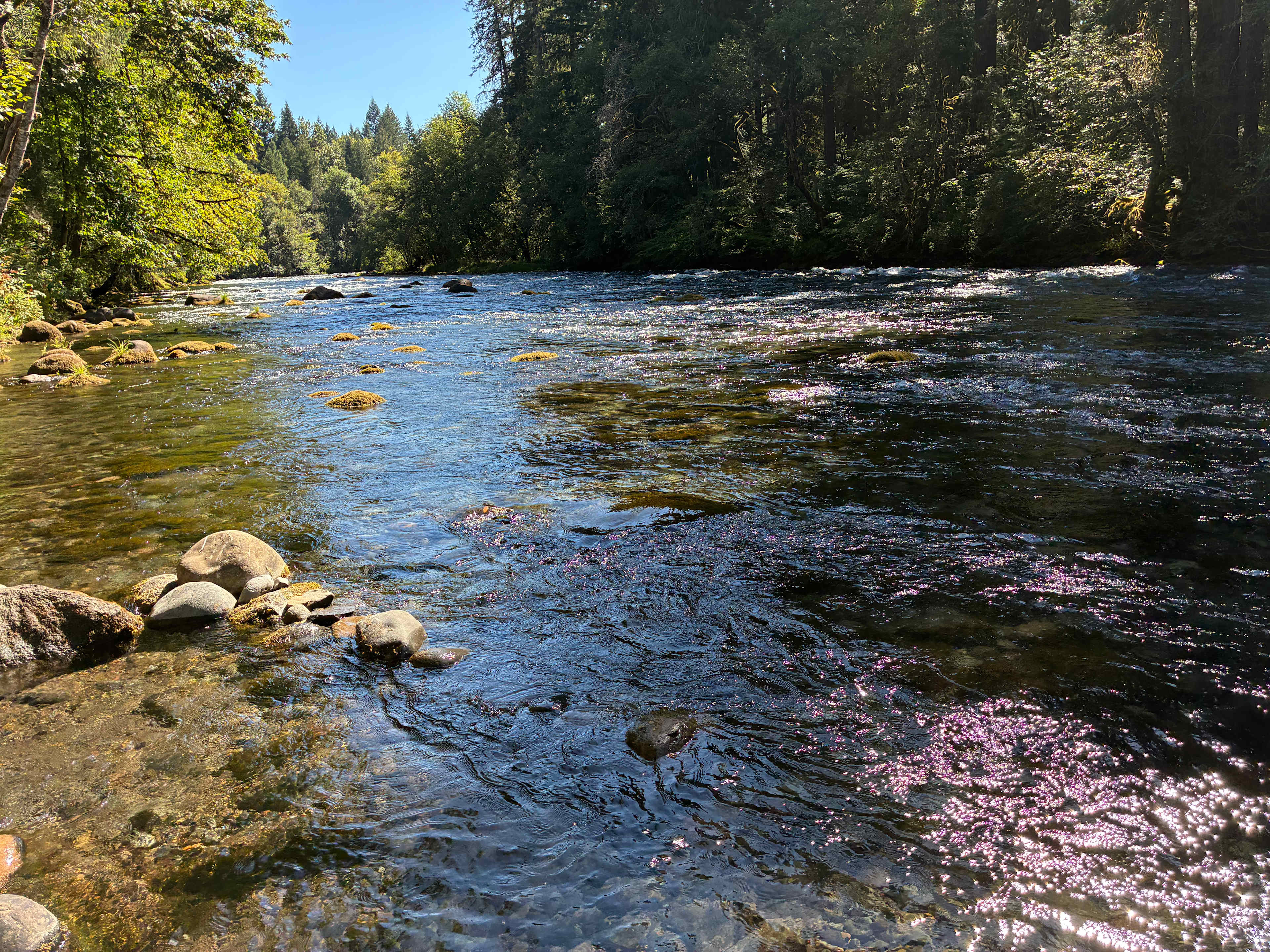 Upriver Paradise "Private Retreat"