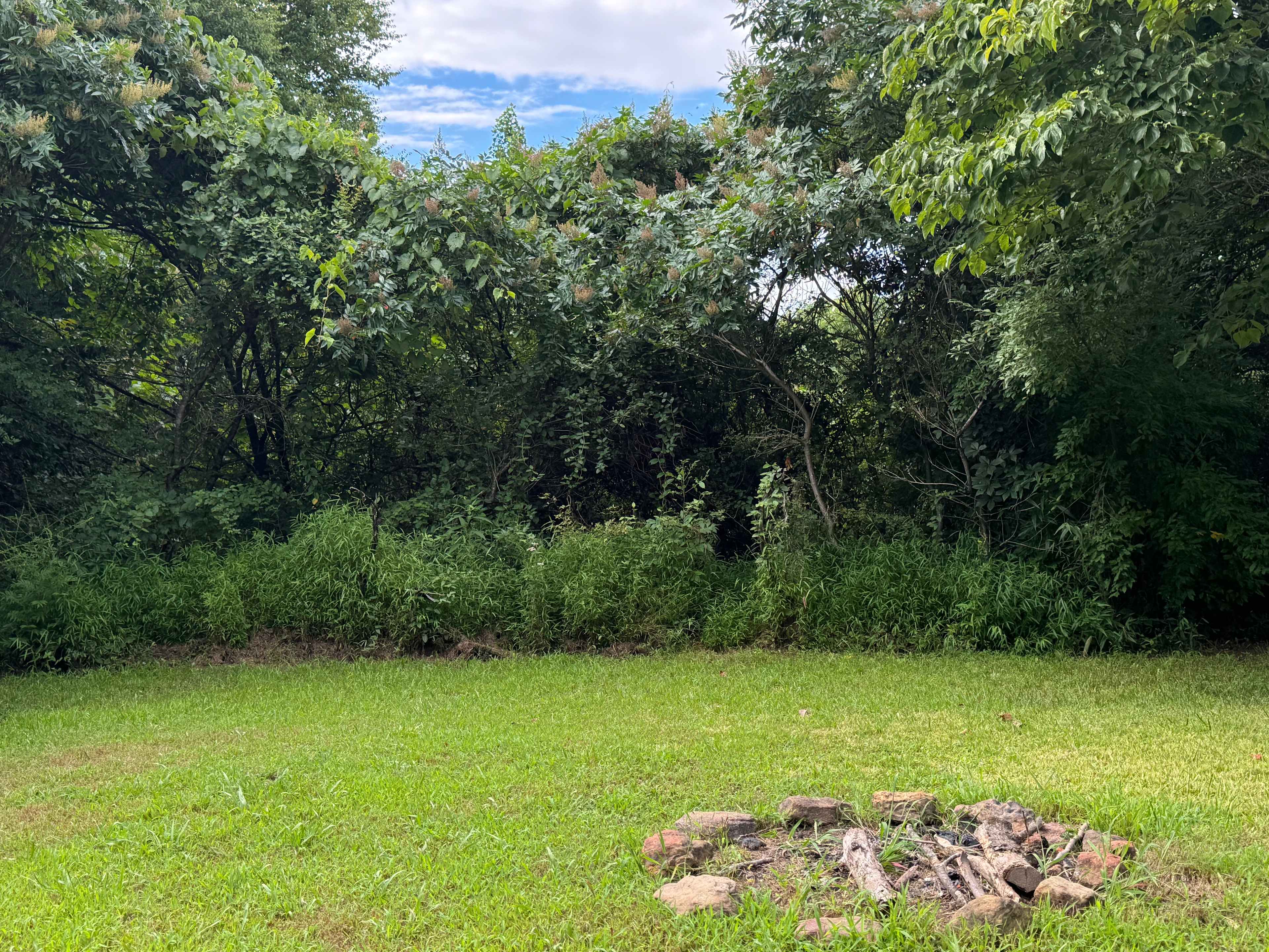 Camp site