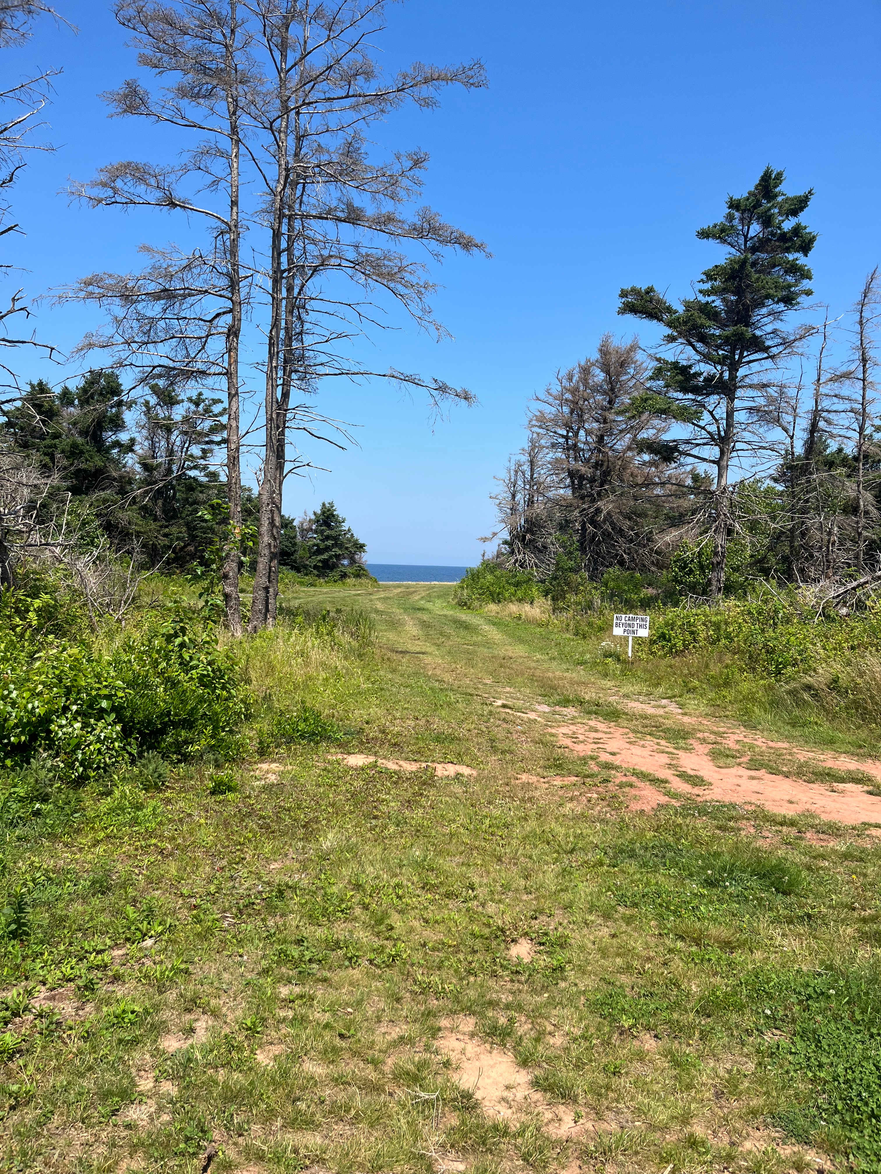I’m facing the paths to the beach from the campsite.