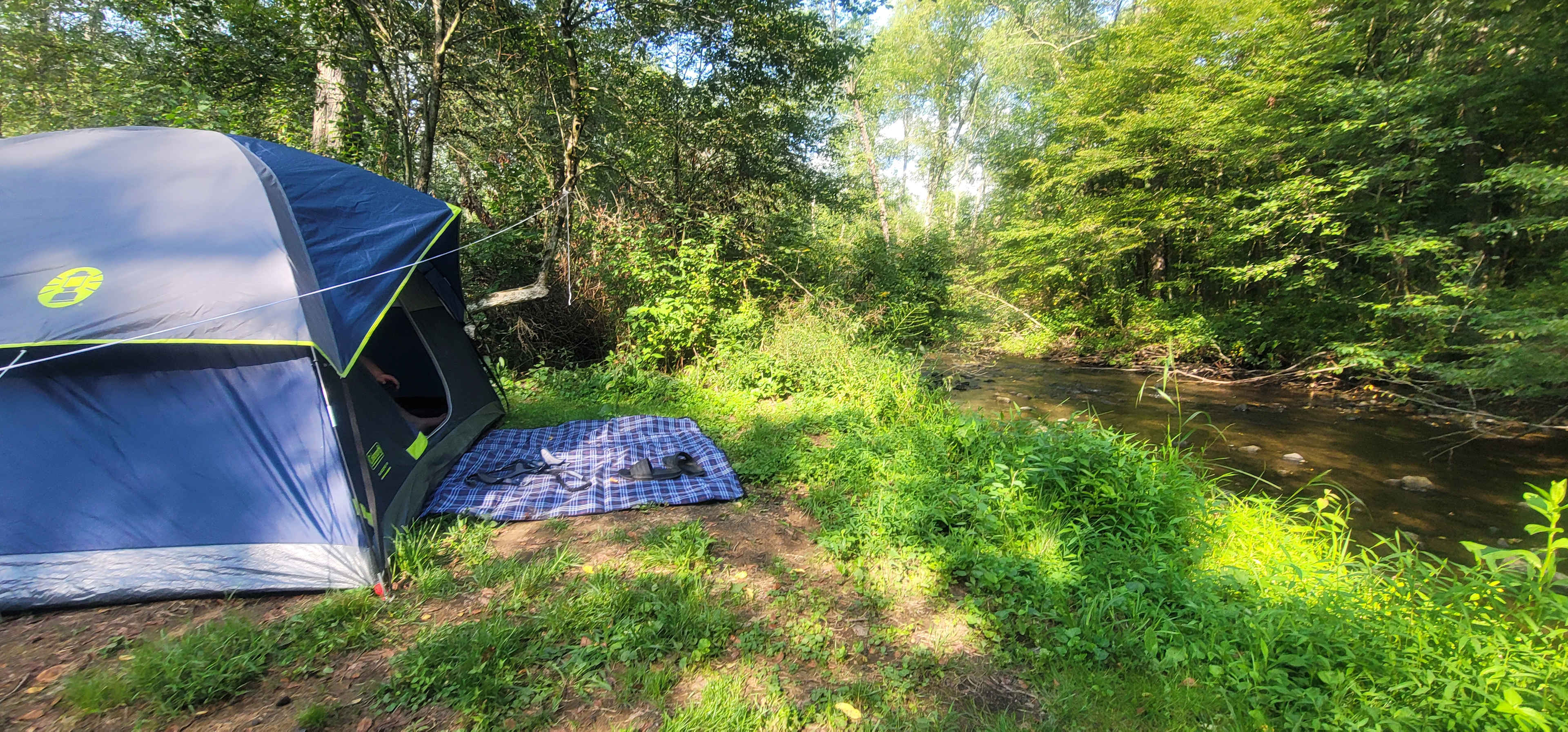 Site 6