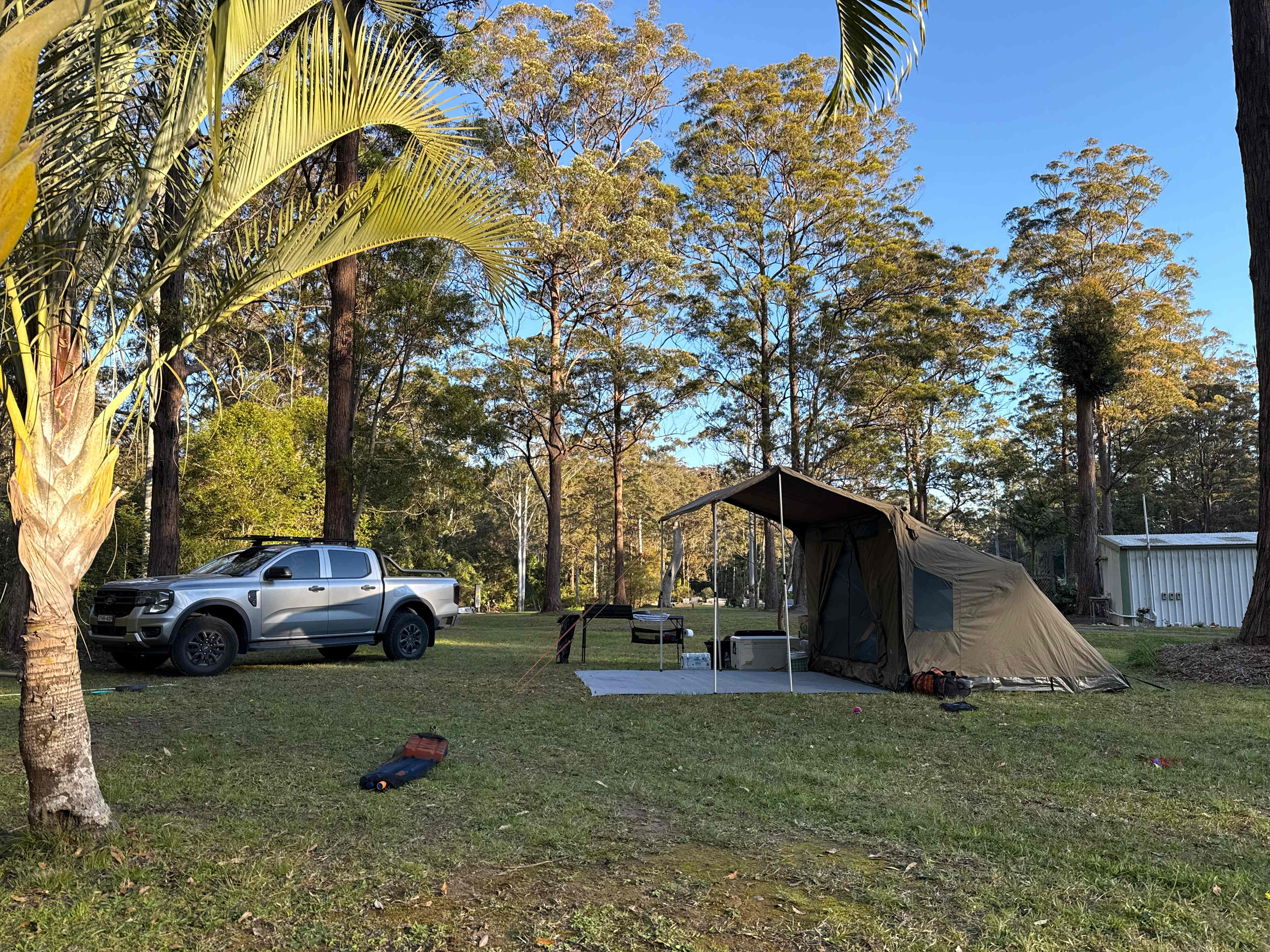 Delhuntie Park -Edens Canopy-