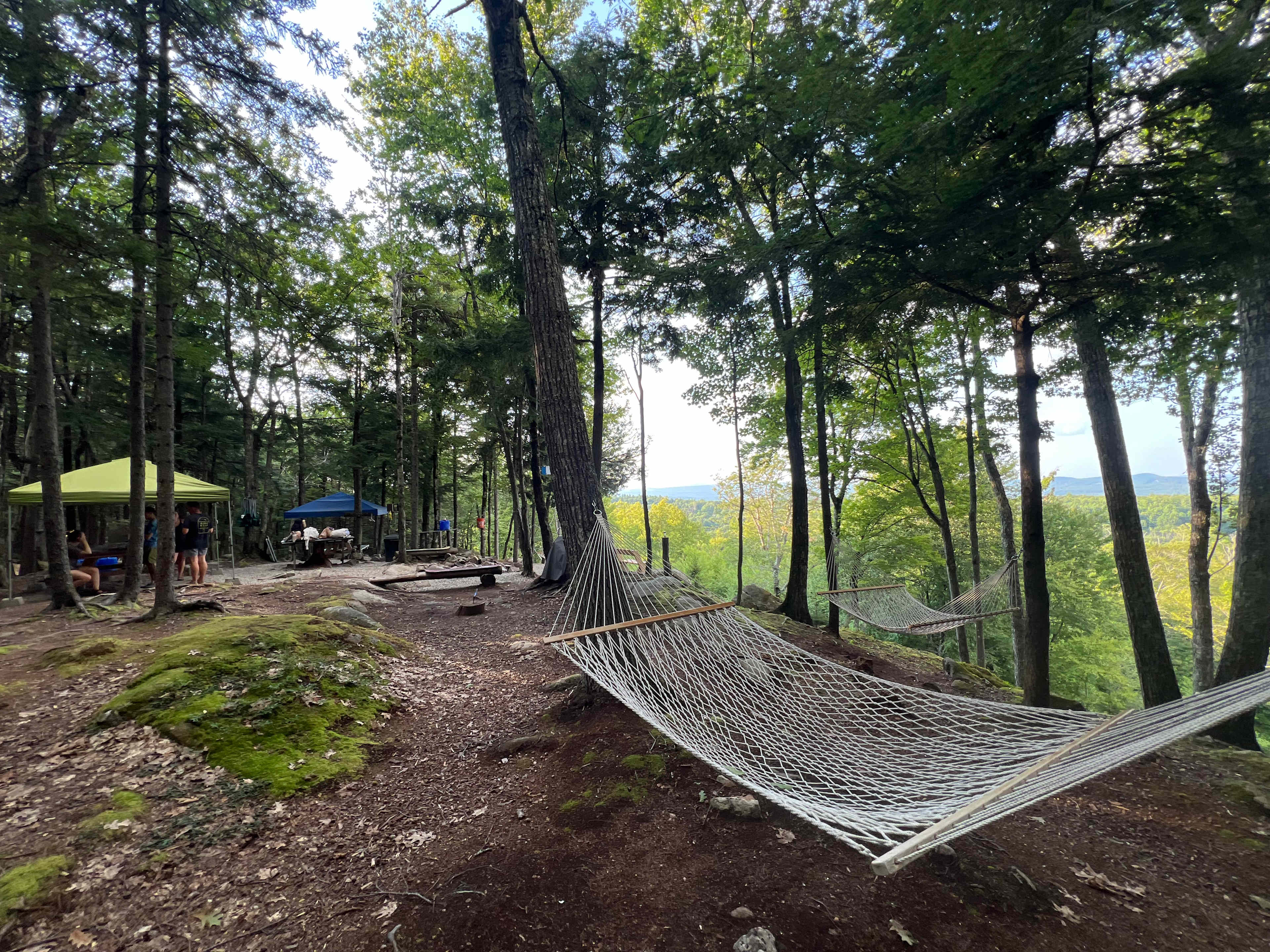 Hussey Mountain Tree Farm