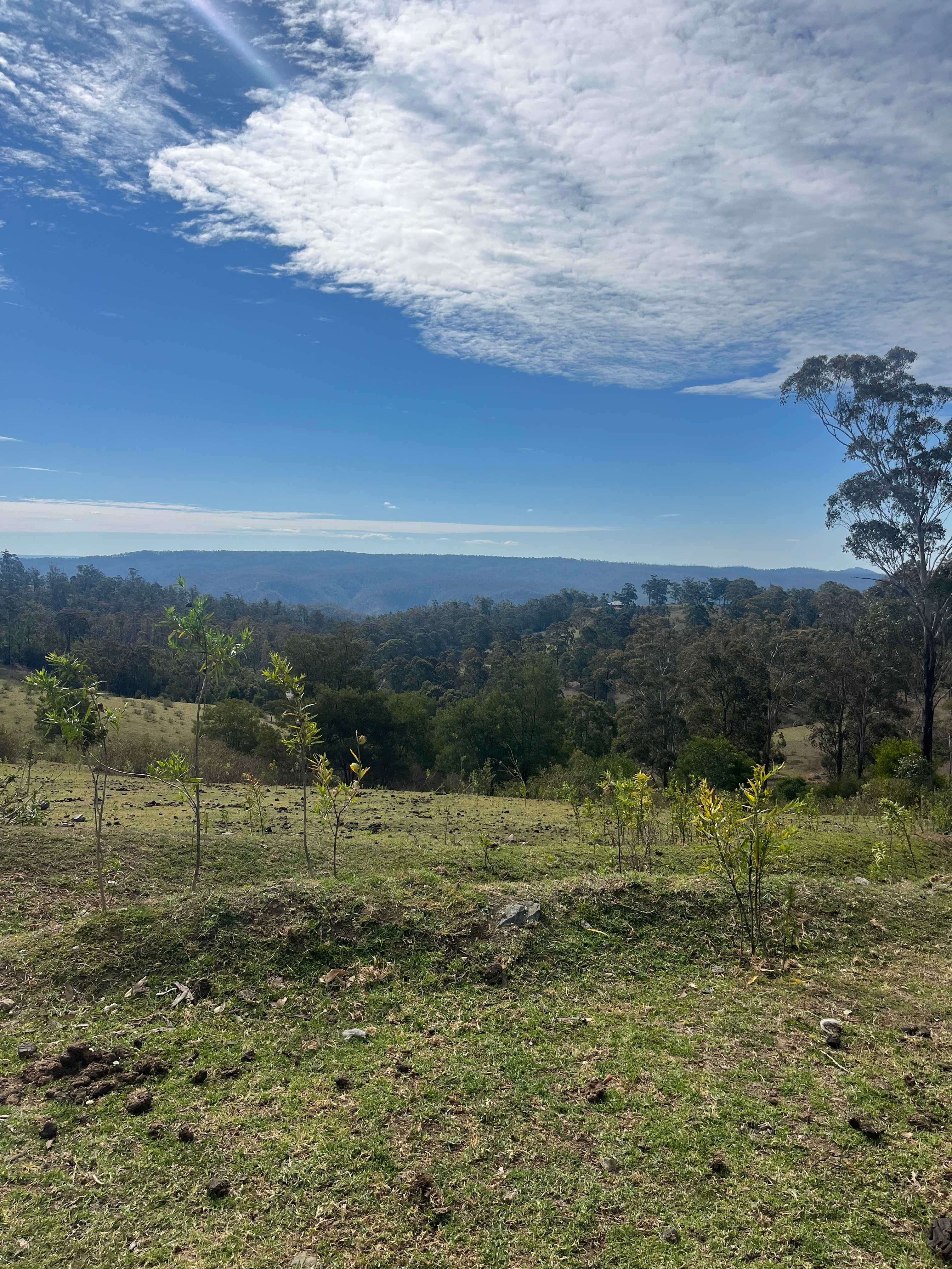 Foothills