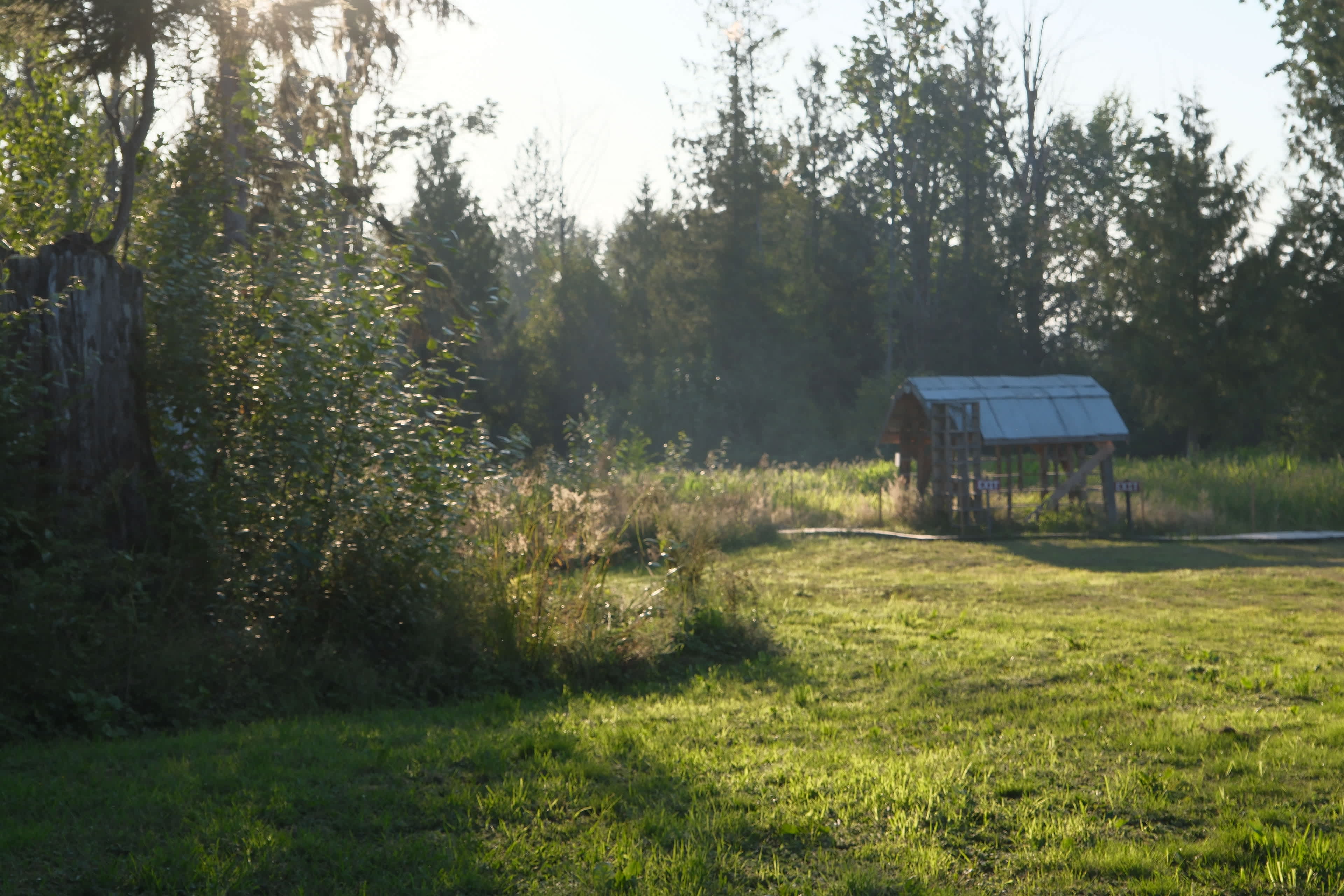 Meadows Family Farm Ltd