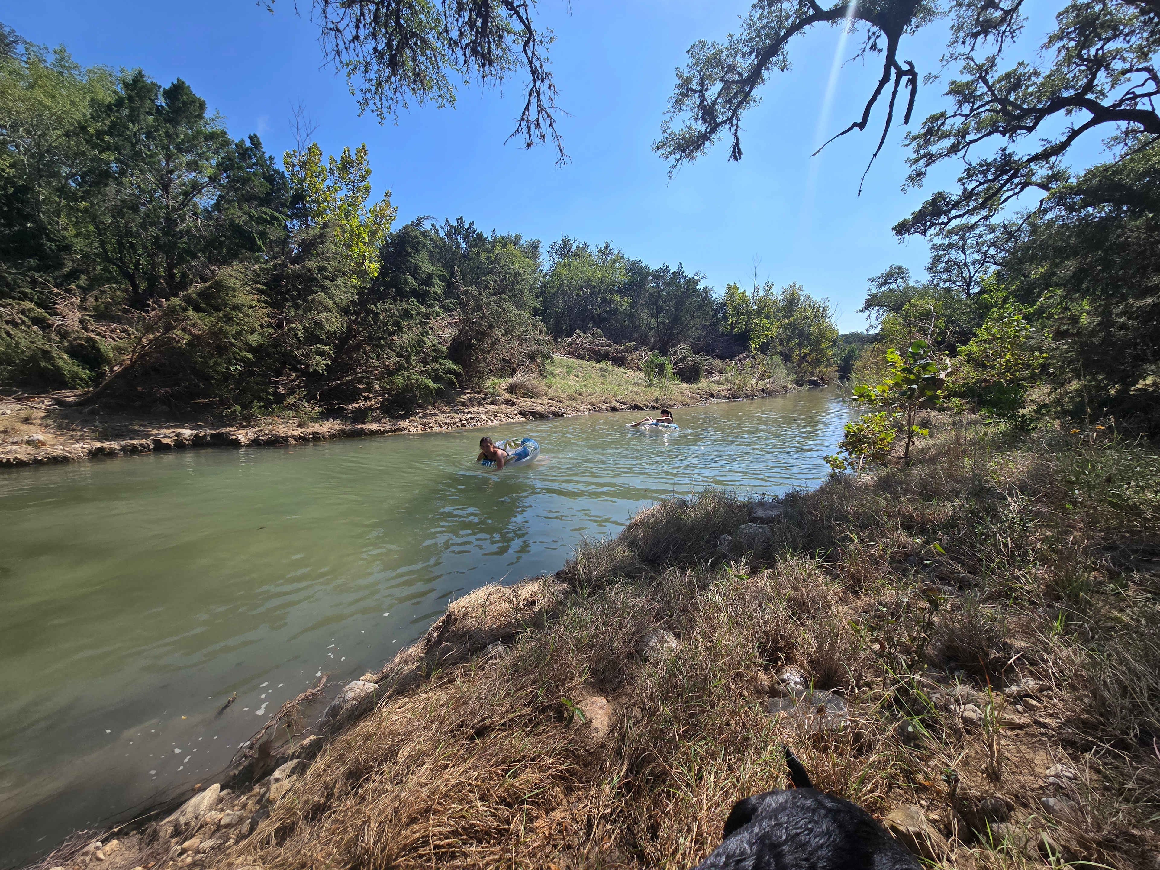Creek by the house