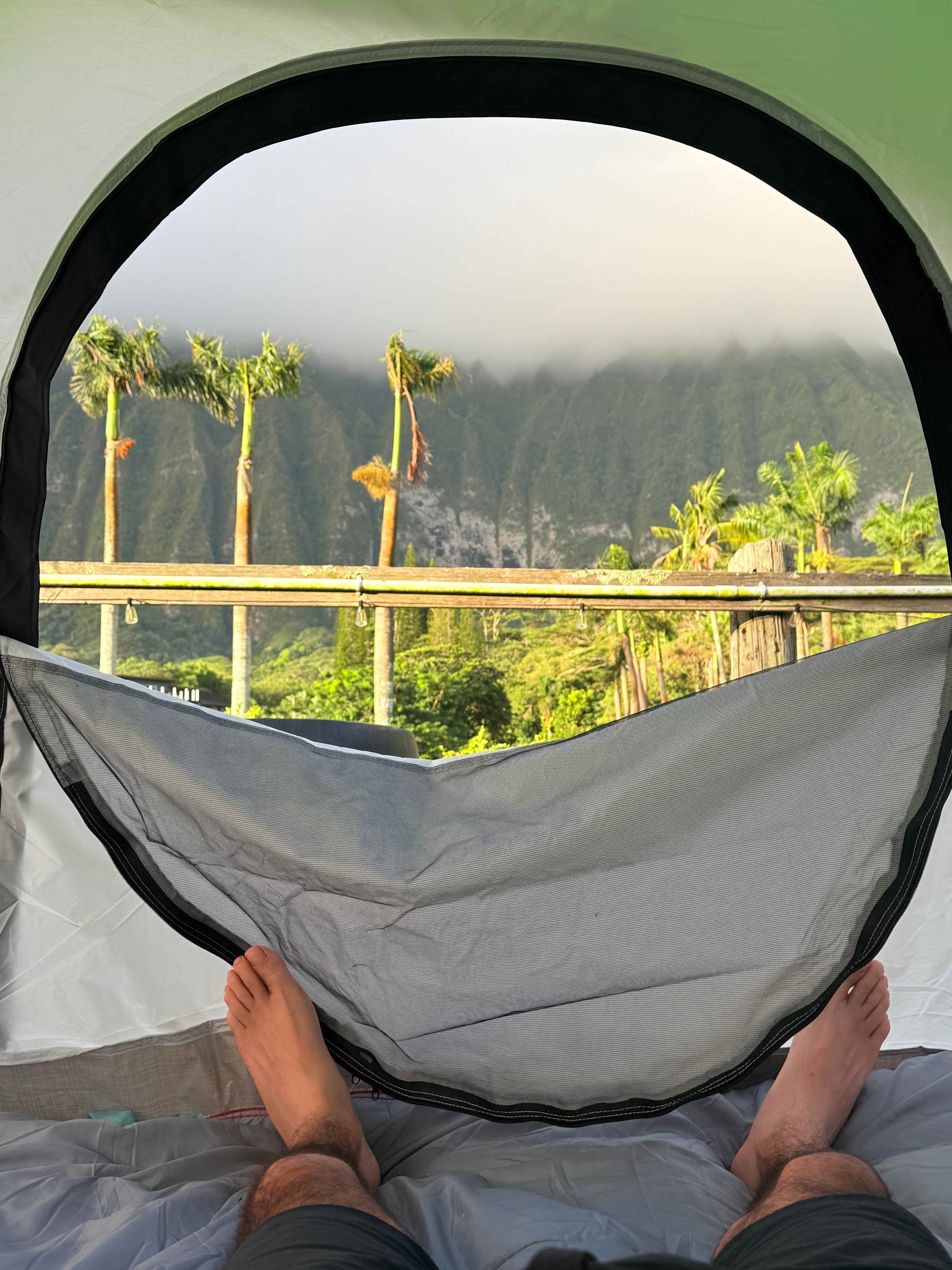 Morning view