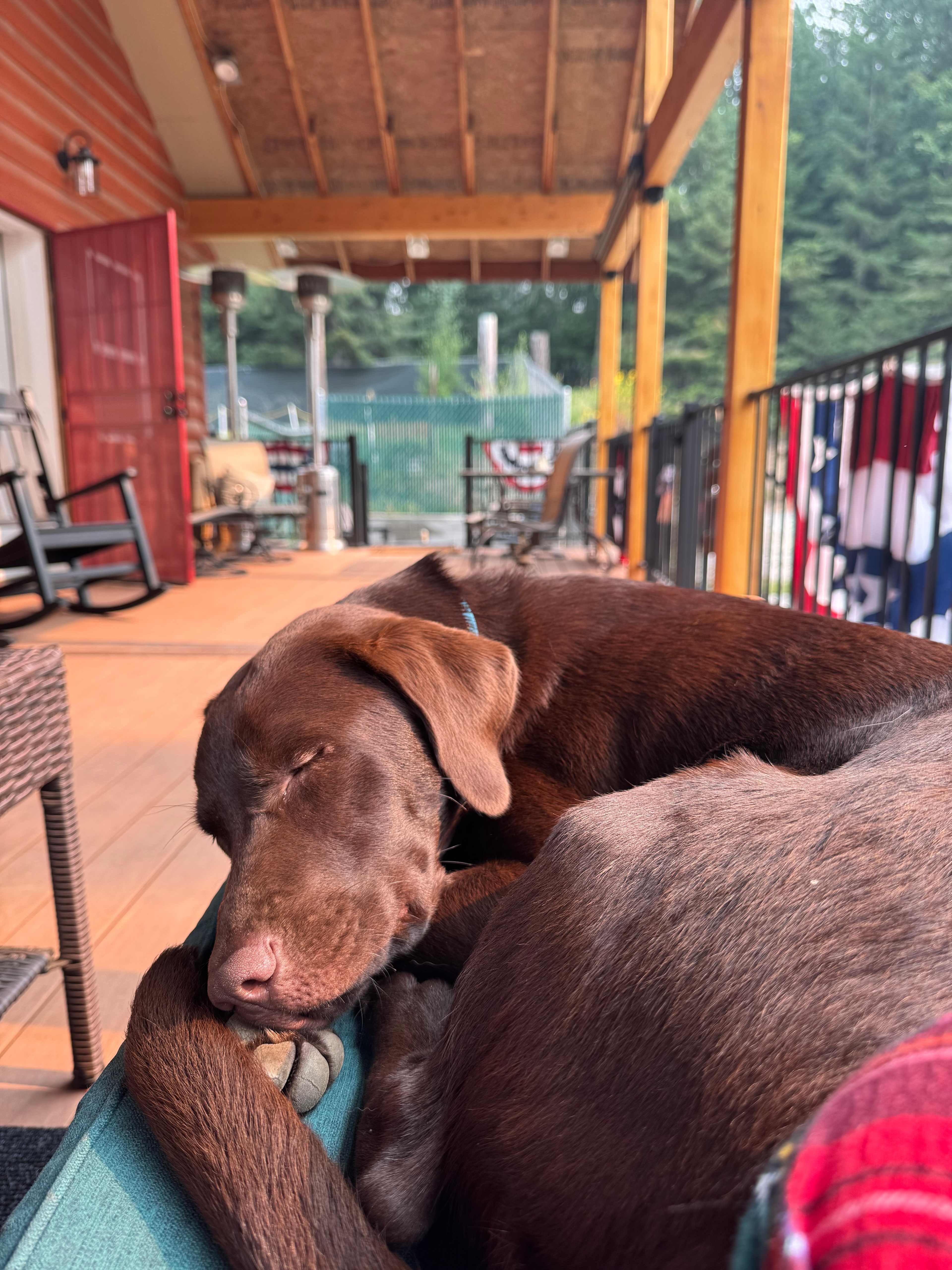 Enjoyed all the time possible on the patio couch