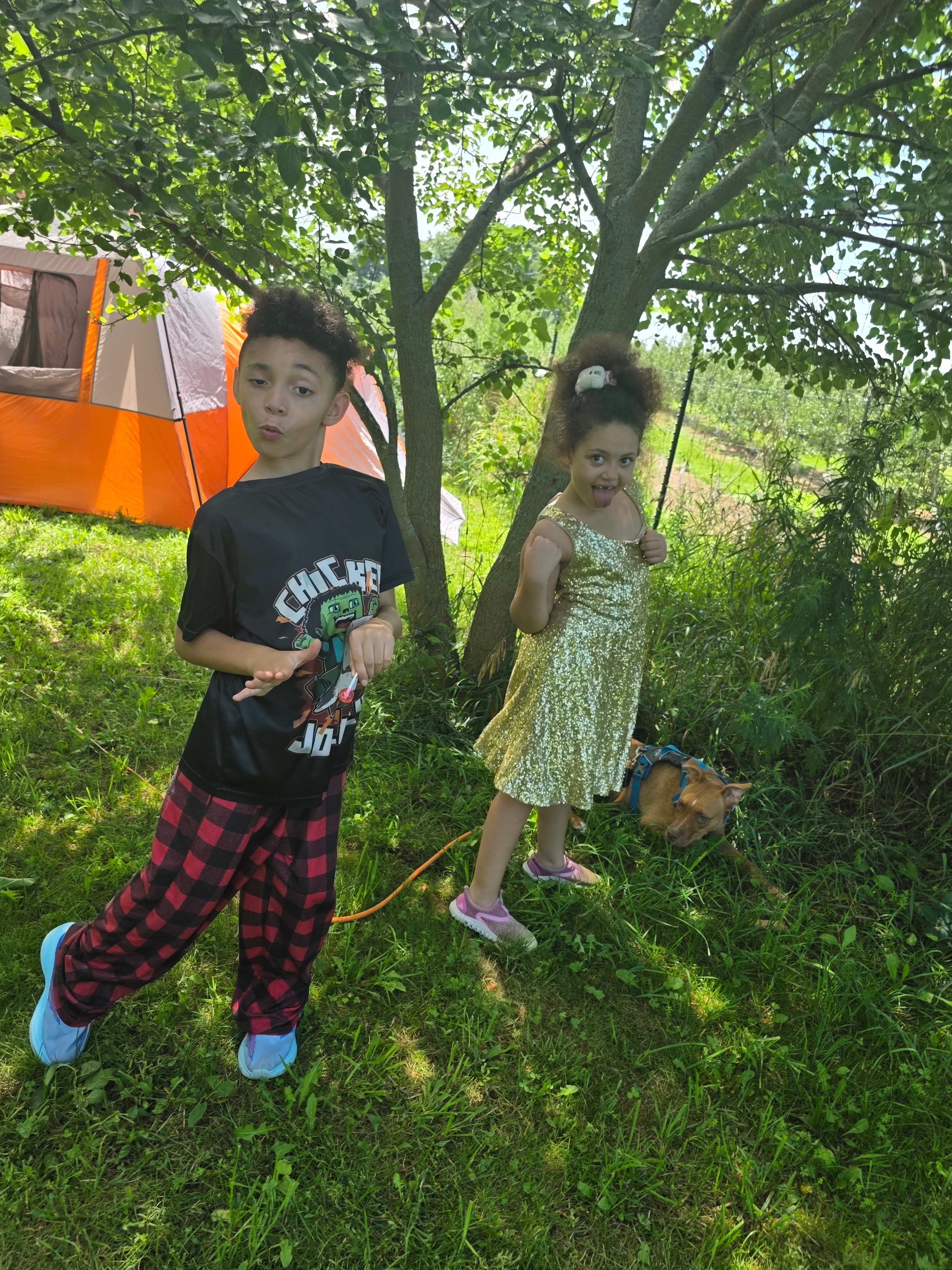 Thorndon Meadows