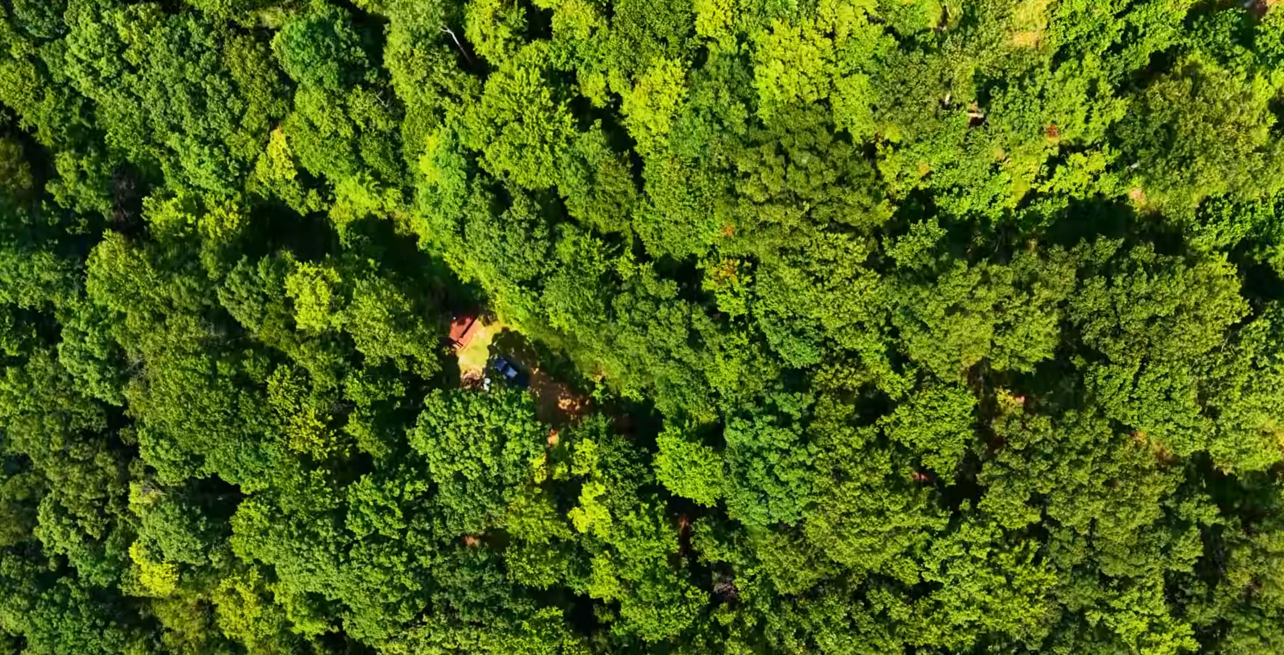 Cabin from the air