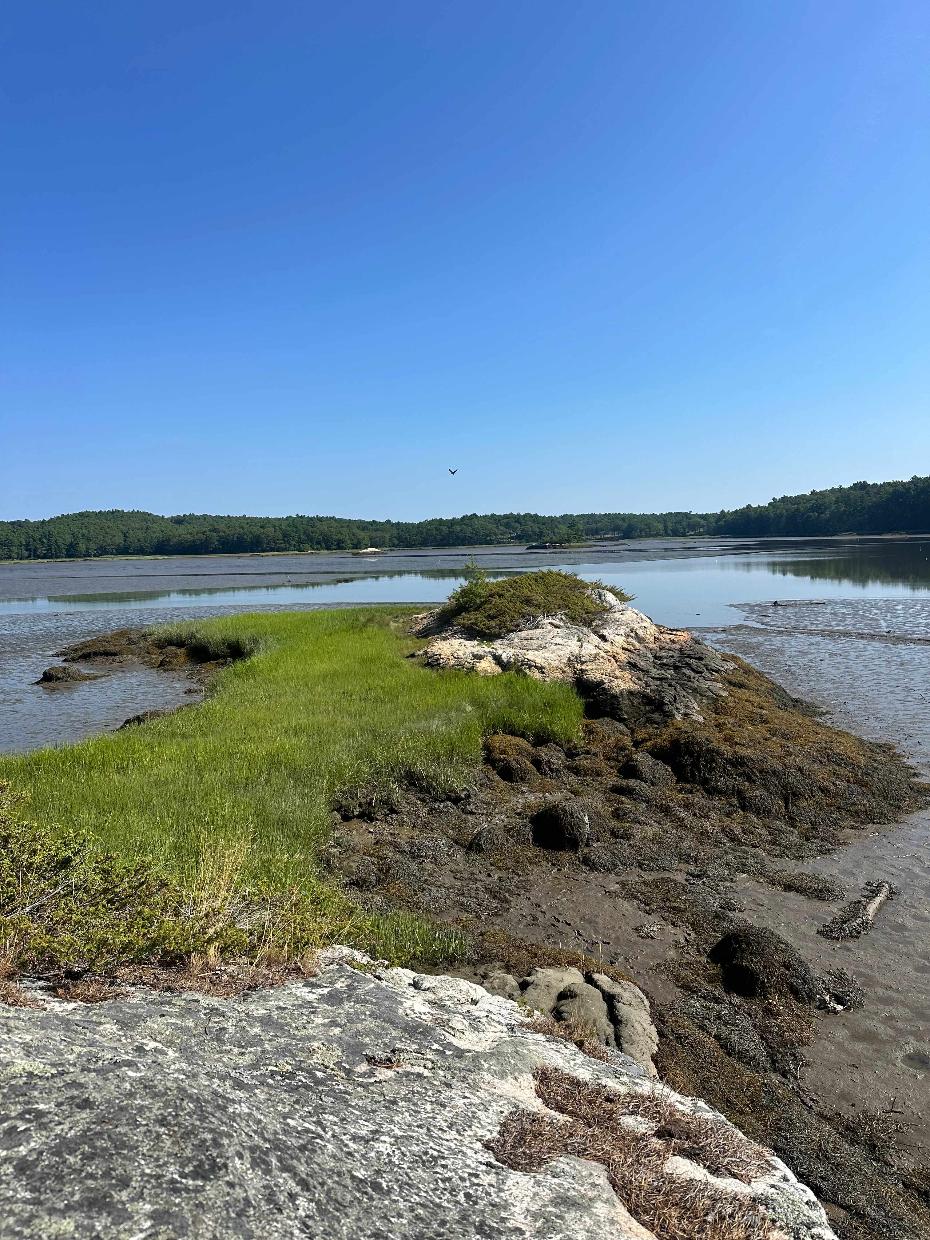 Hockomock Island